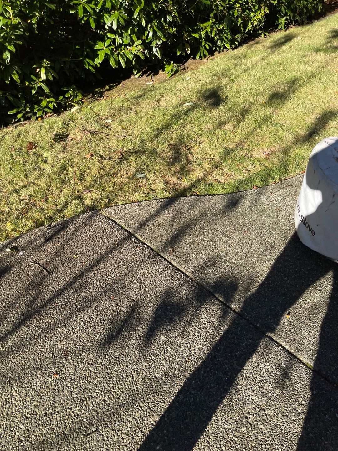 Tree Removal using Tree Removal by Mike Jones & Sons Tree Service LLC 