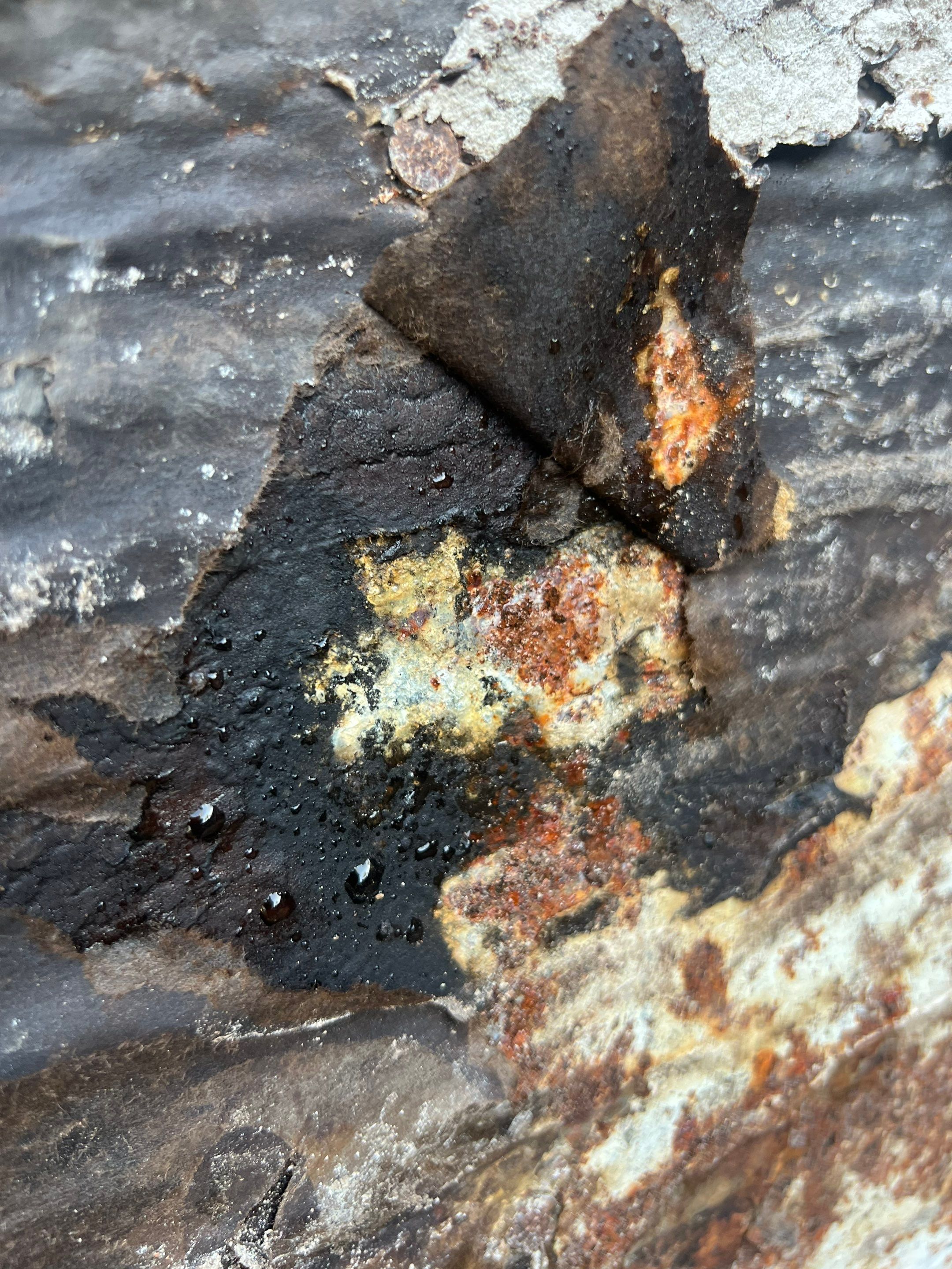 Natures Cove Rd., Dania Beach, FL by G&J Roofing 