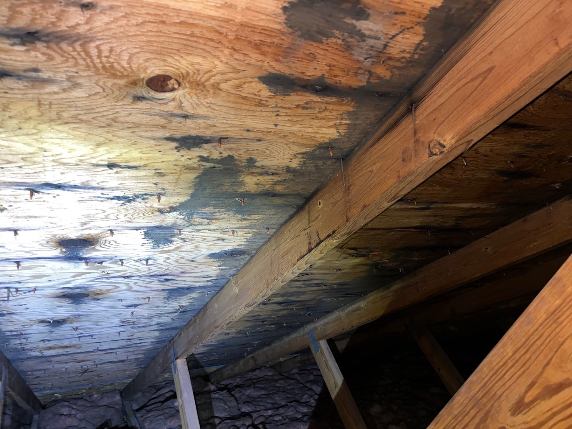 Addressing Attic Mold and Upgrading Insulation in Cranberry Township, PA 16066 by Home Environment Solutions