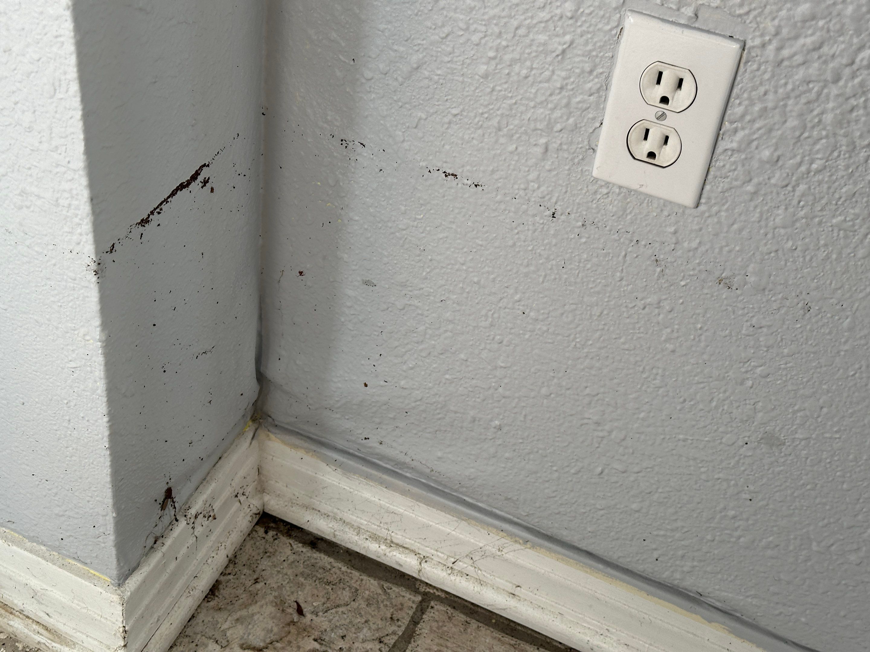 Flood Damage Claim in Tampa  by FLAPA & KeyStone