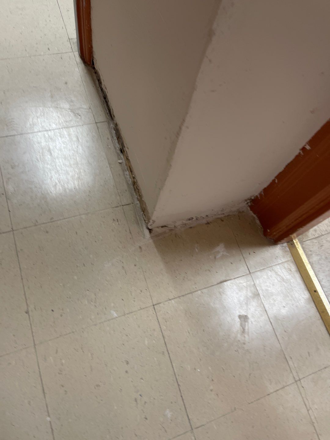 Cat Hospital Project in Pittsburgh by Floors in a Day, Inc