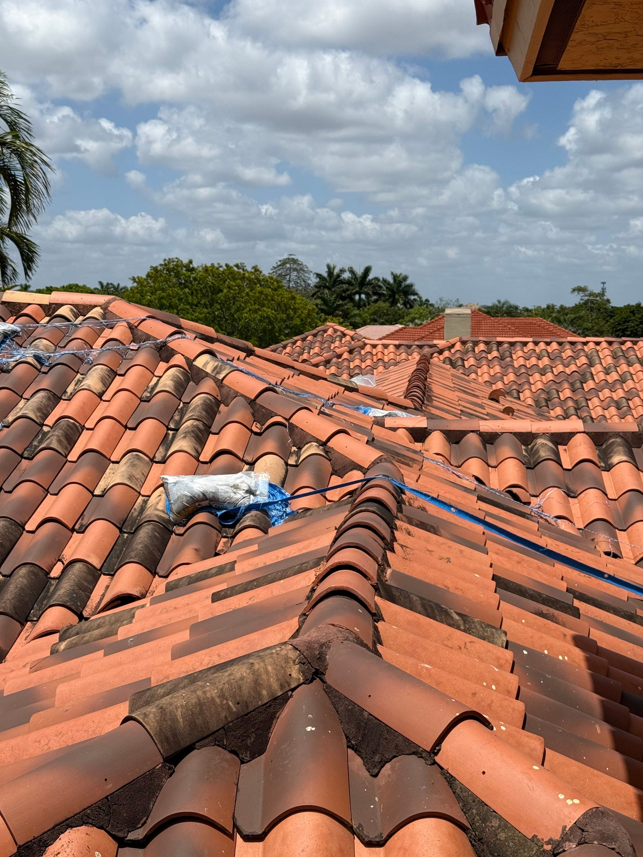 Metal Roof in Davie by Roofing Recovery