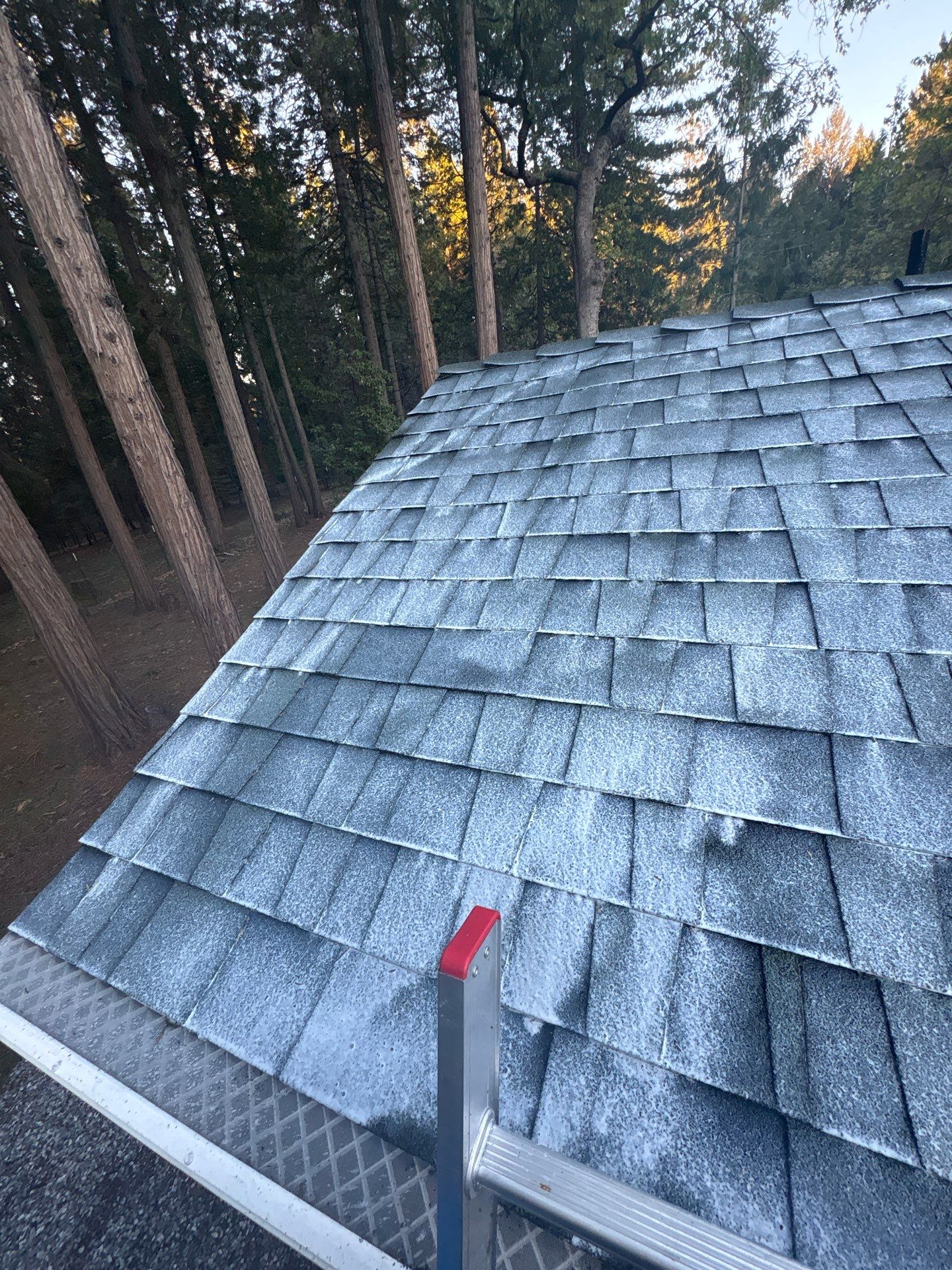 Roof Rejuvenation using Roof Maxx Treatment by Roof Maxx of Folsom