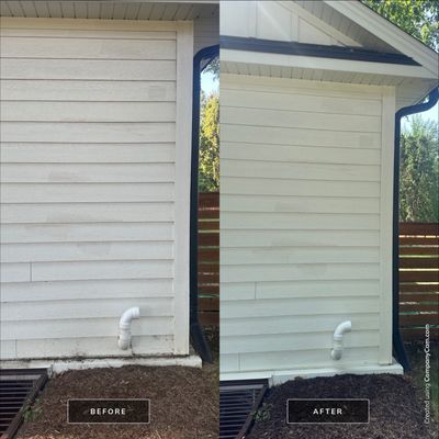 Project in Palatine