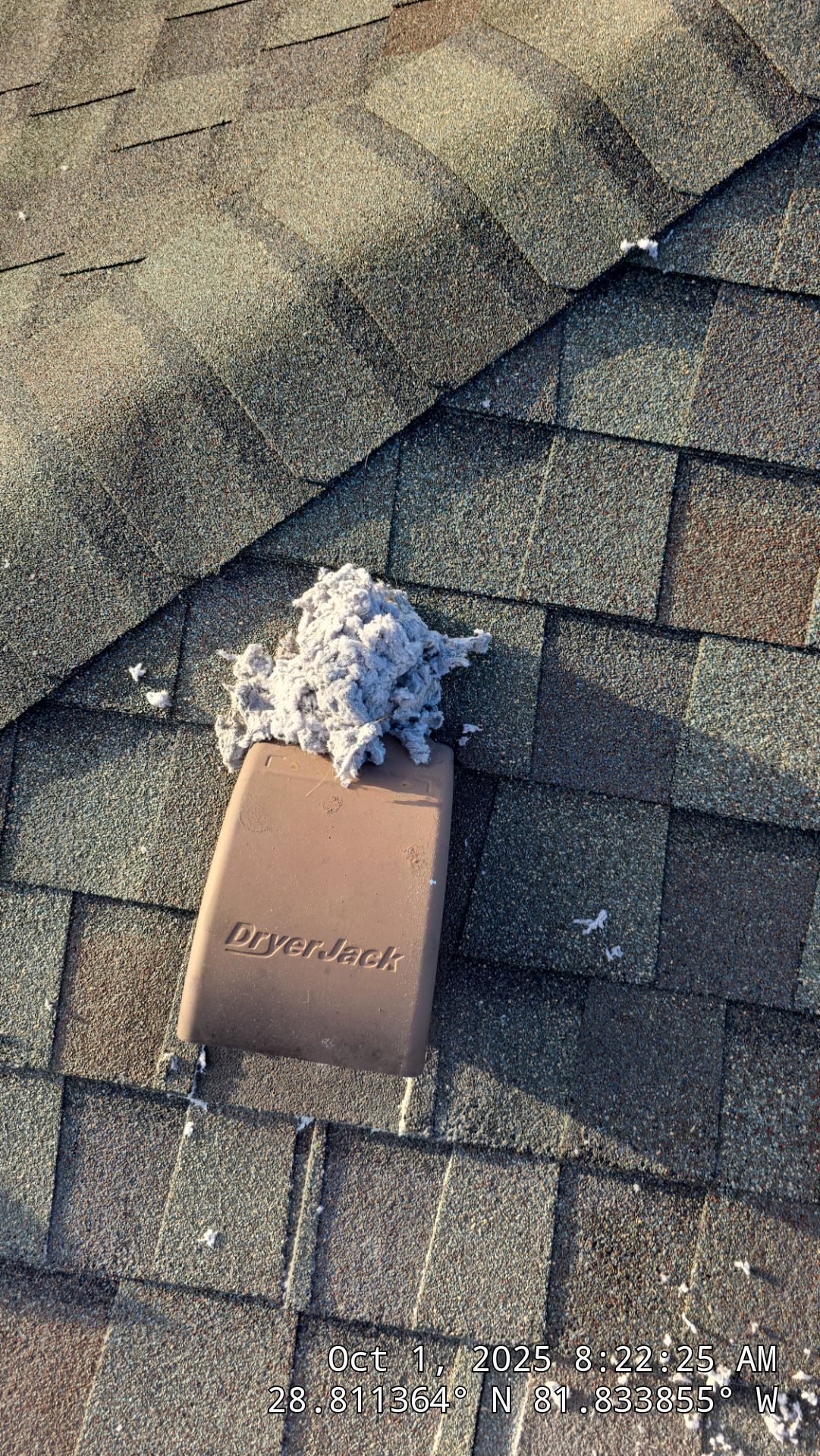Dirty Dryer Vent in Leesburg by Hygienic Air, Inc