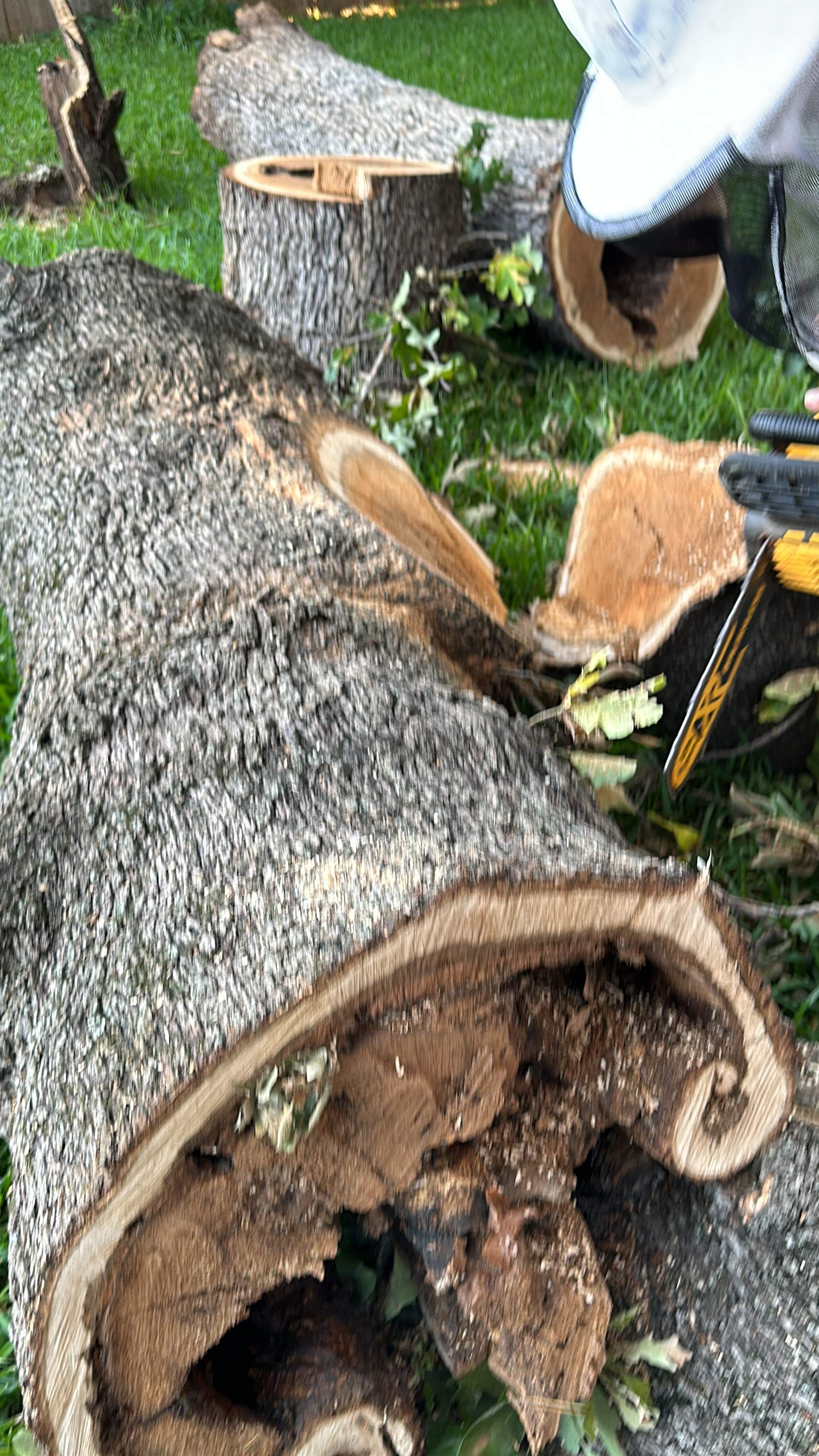 Wina-tree-go by Rockwall Honey Bee Company