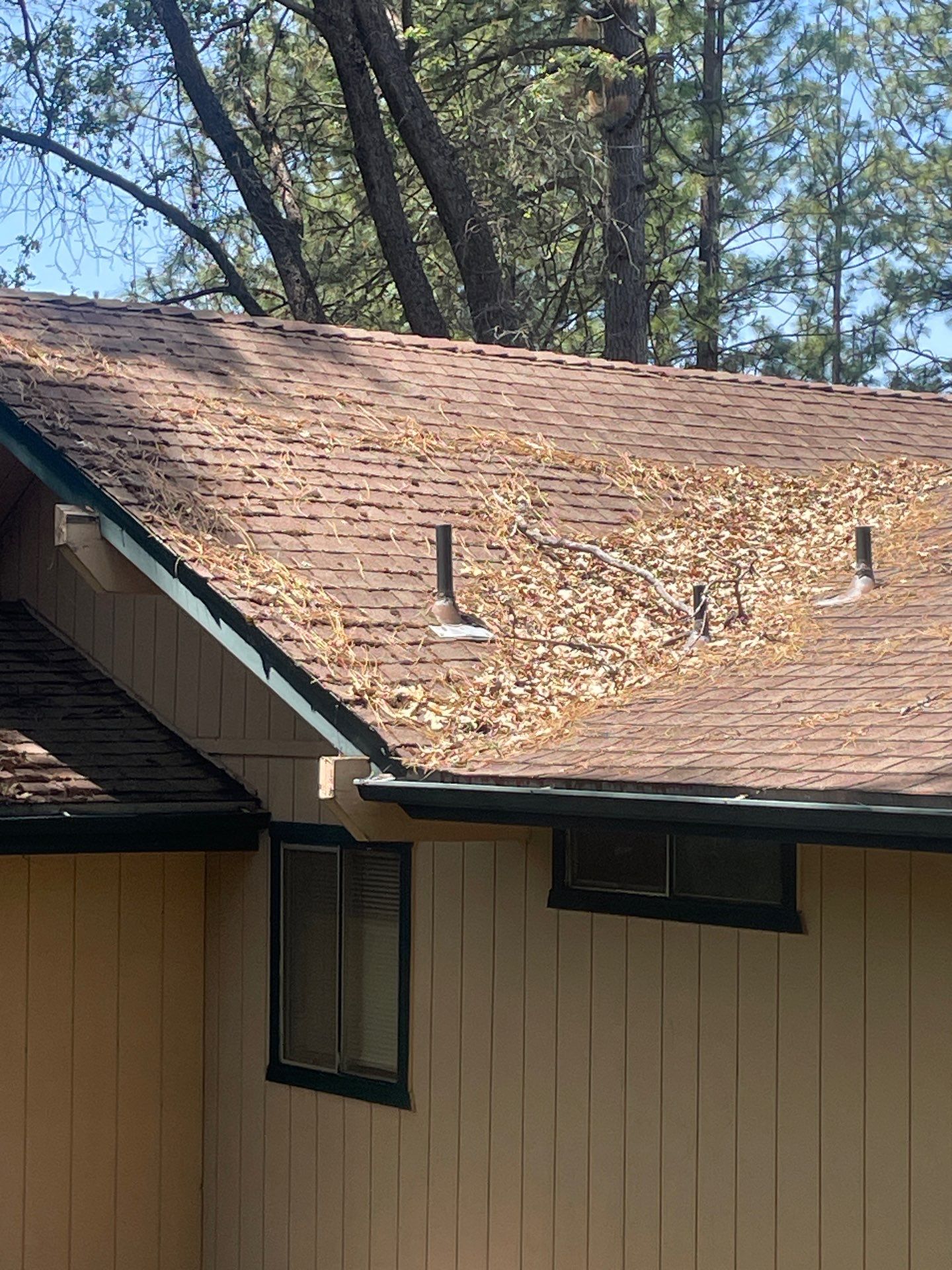 Roof Rejuvenation using Roof Maxx Treatment by Roof Maxx of Folsom