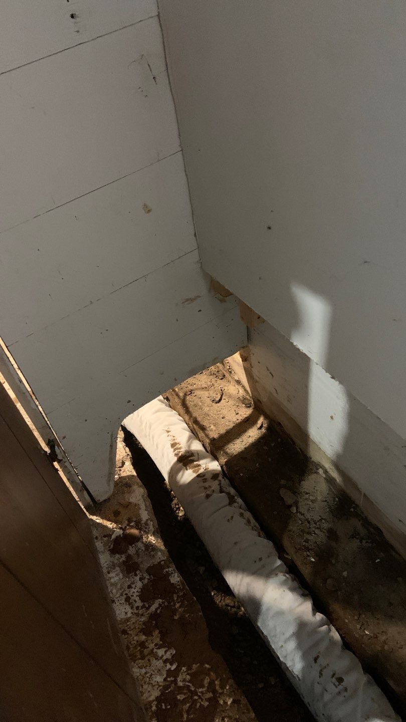 Upgrading Nicole & Gary’s 1960s Beaver System in St. Paul by Waterproofing Northeast