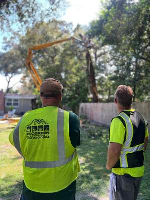 Tree Removal | Residential