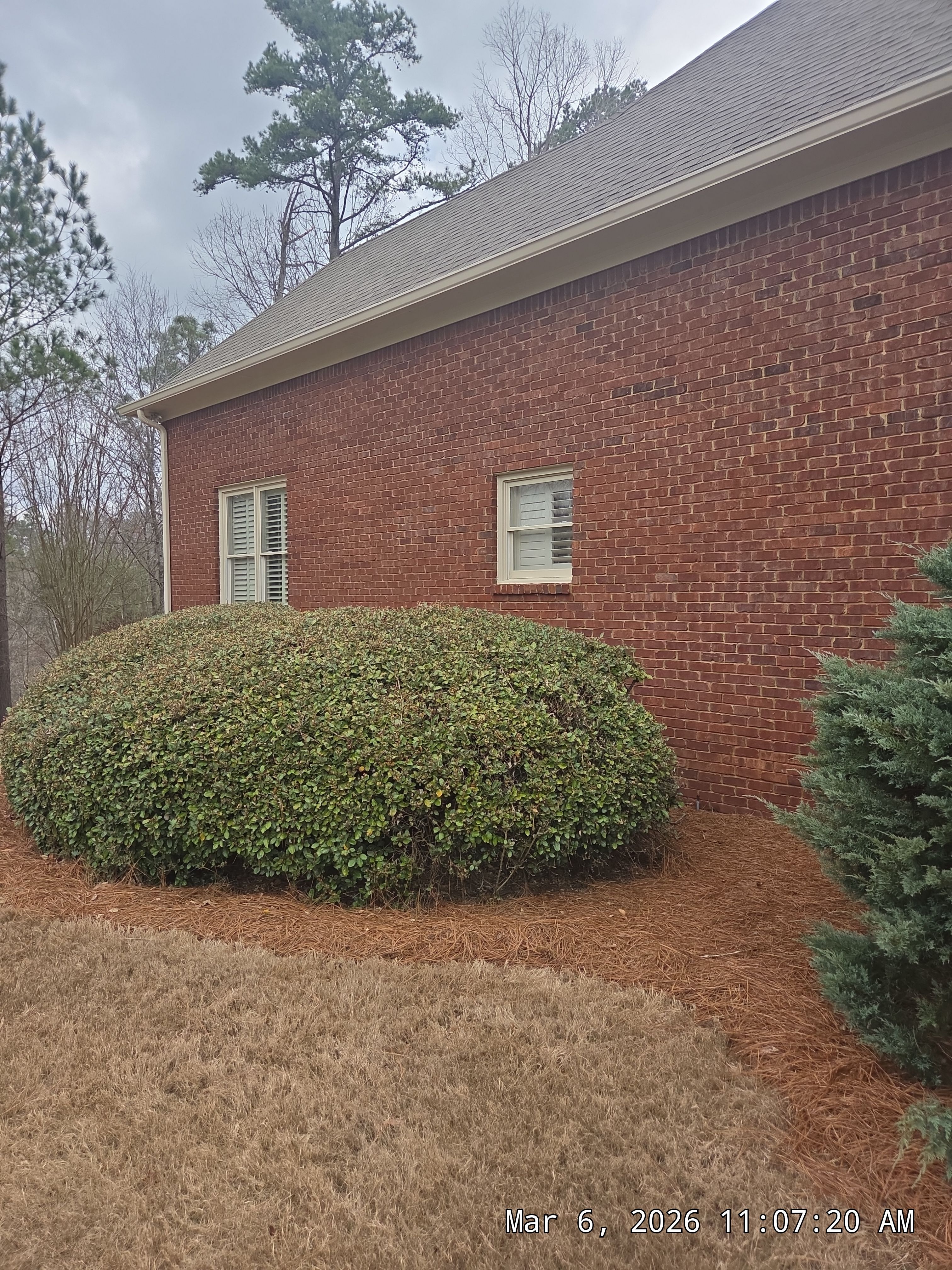 Zwiebel Project in Hoover by The Window Source