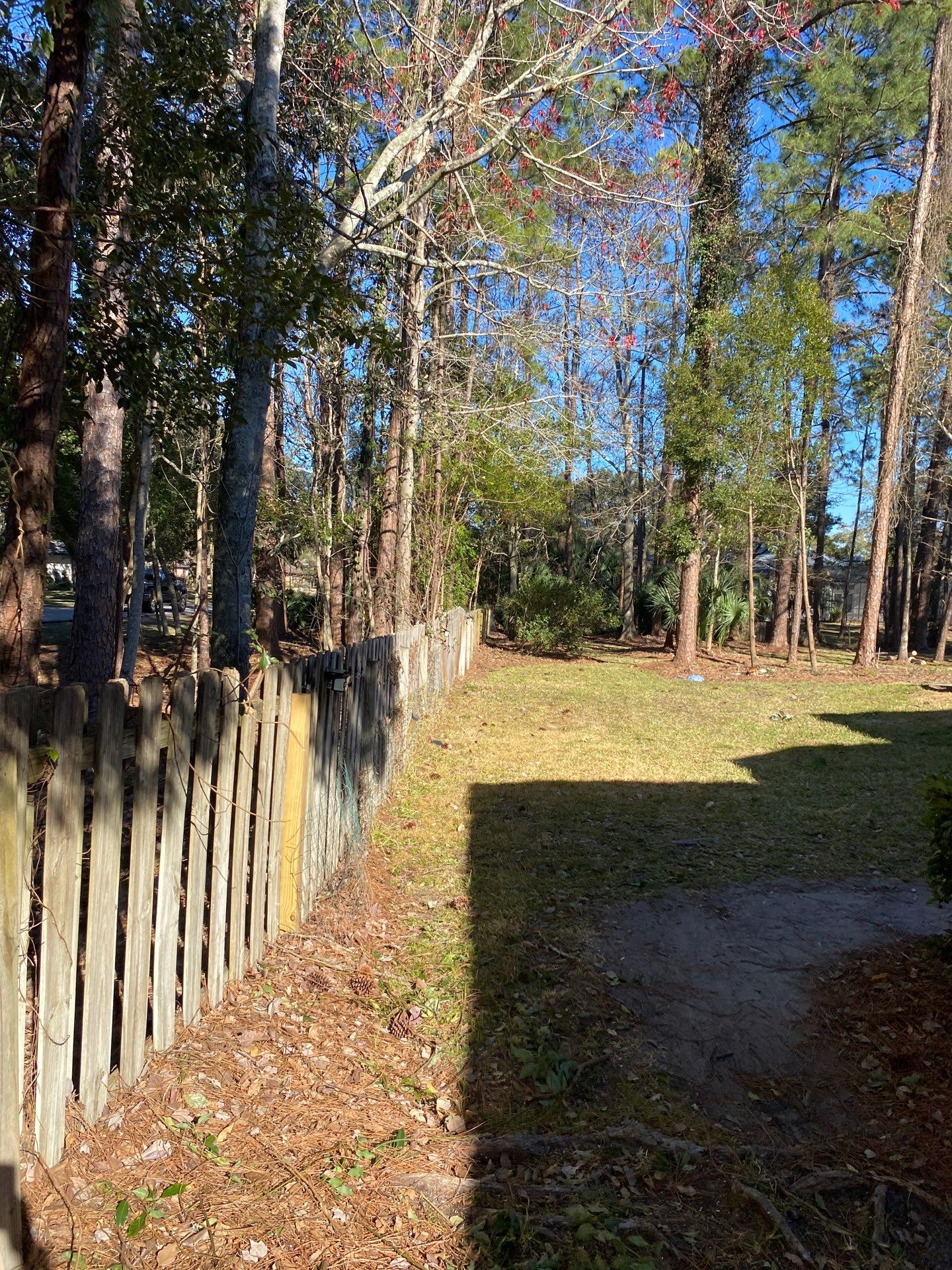 Deerwood Resident | Tree Removal & Clean-Up by ProGreen Services