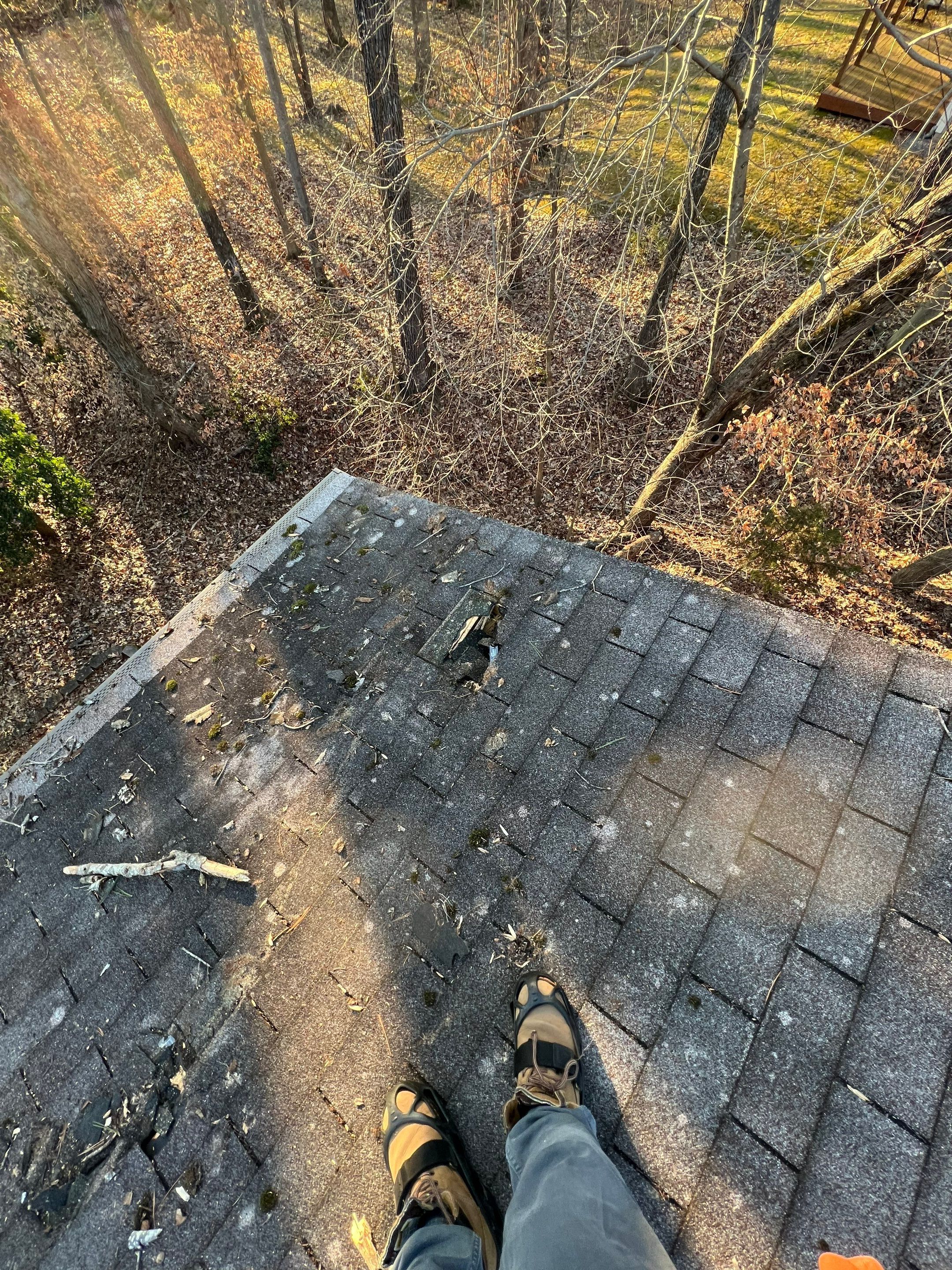 Manassas: CertainTeed Landmark Designer Shingles in Charcoal Black by RM Banning, Inc.