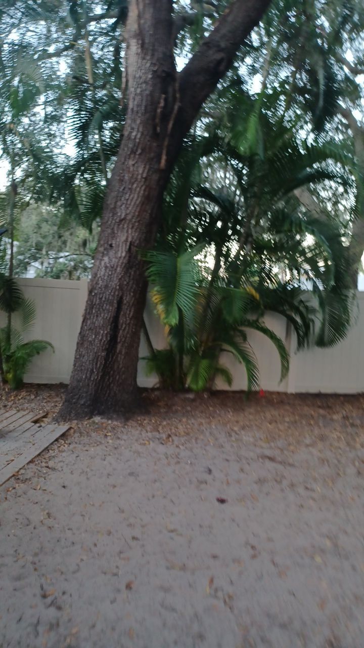 Sarasota, FL 6ft. Tall Tan Vinyl Privacy Fence  by Asap fence and gates, LLC