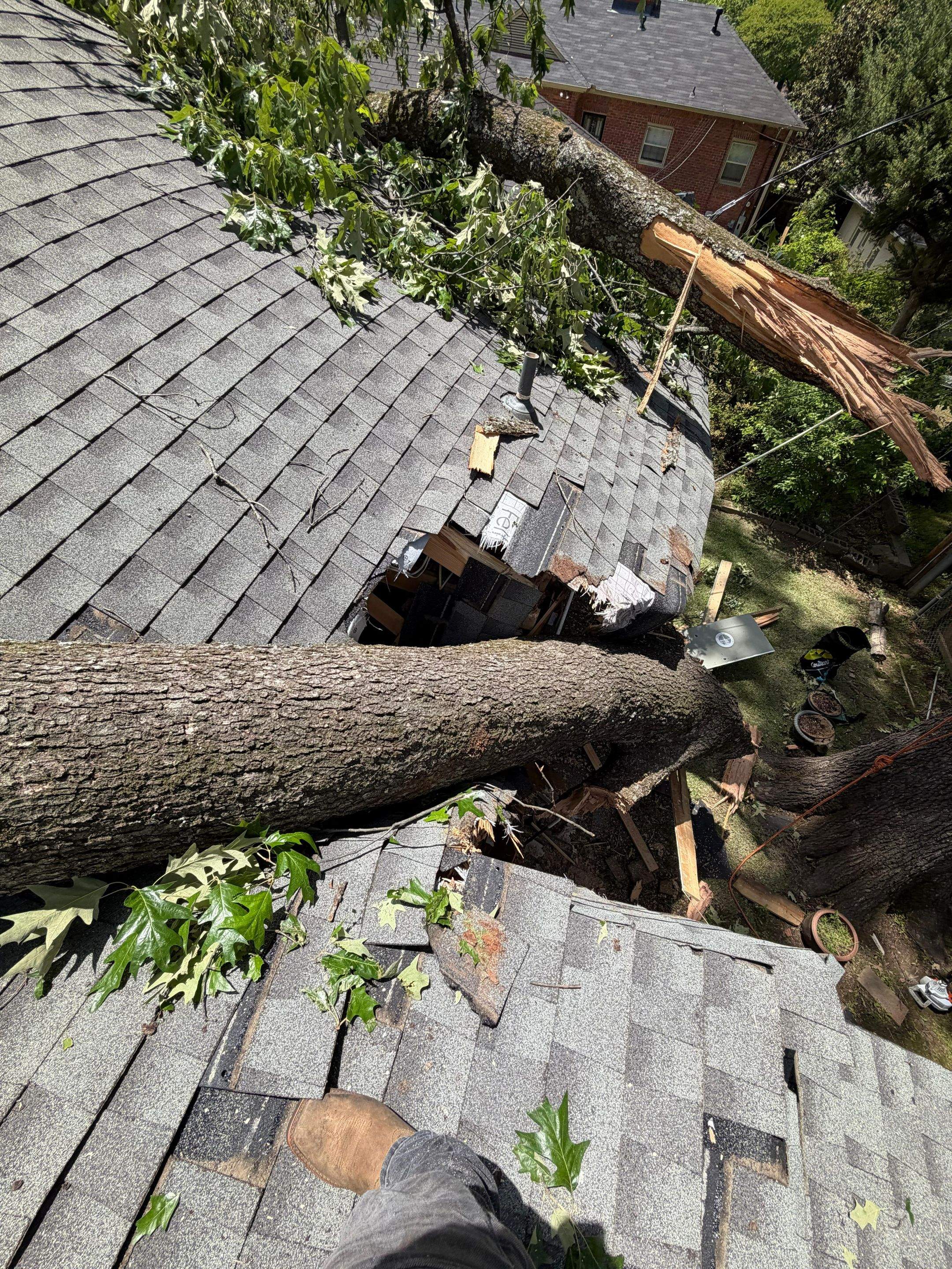Tree Damage Restoration and Asphalt Shingle Roof Replacement in Memphis by Revival Roofing Services