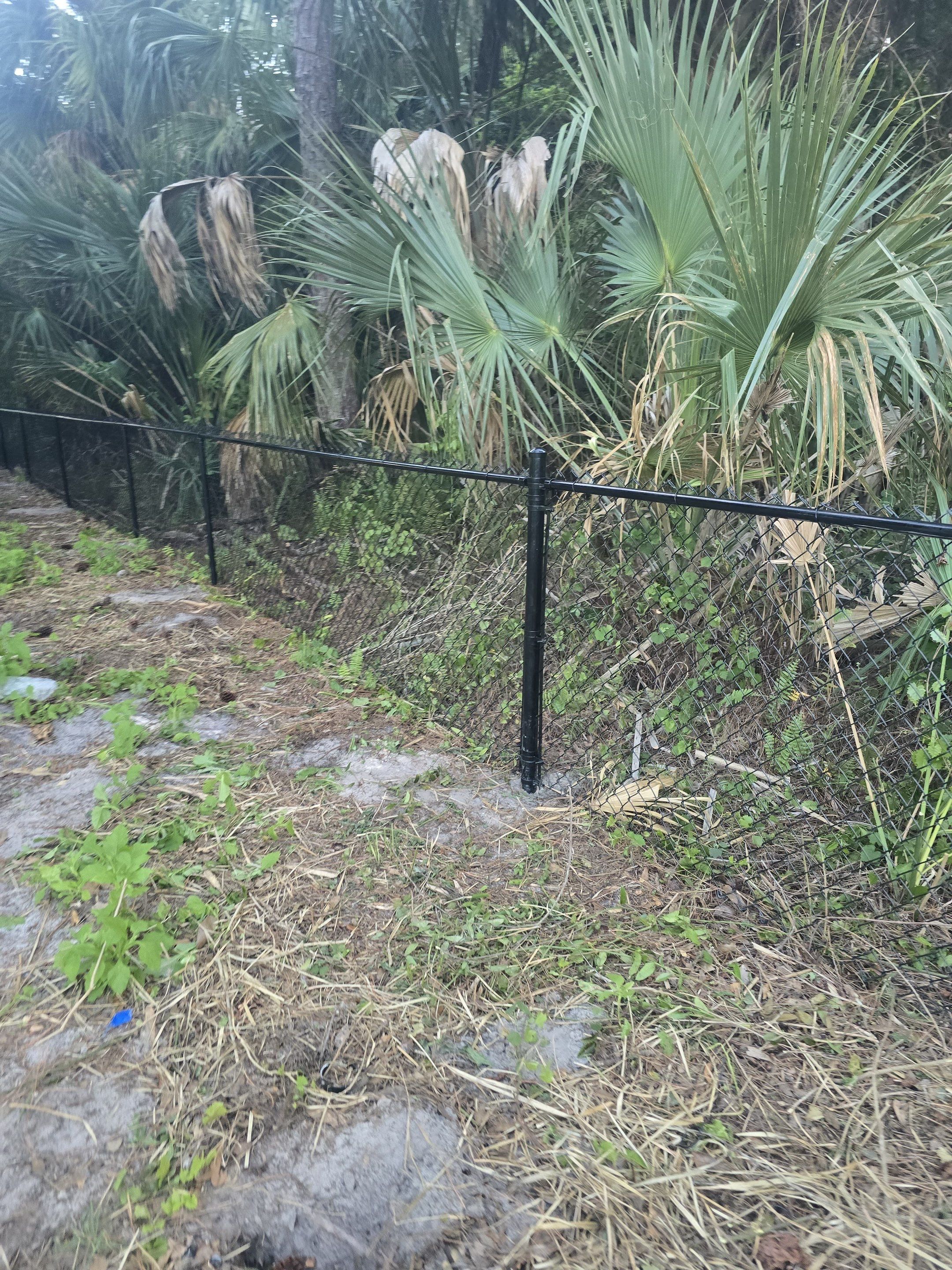 Chain Link Fence in Naples by True Fence LLC