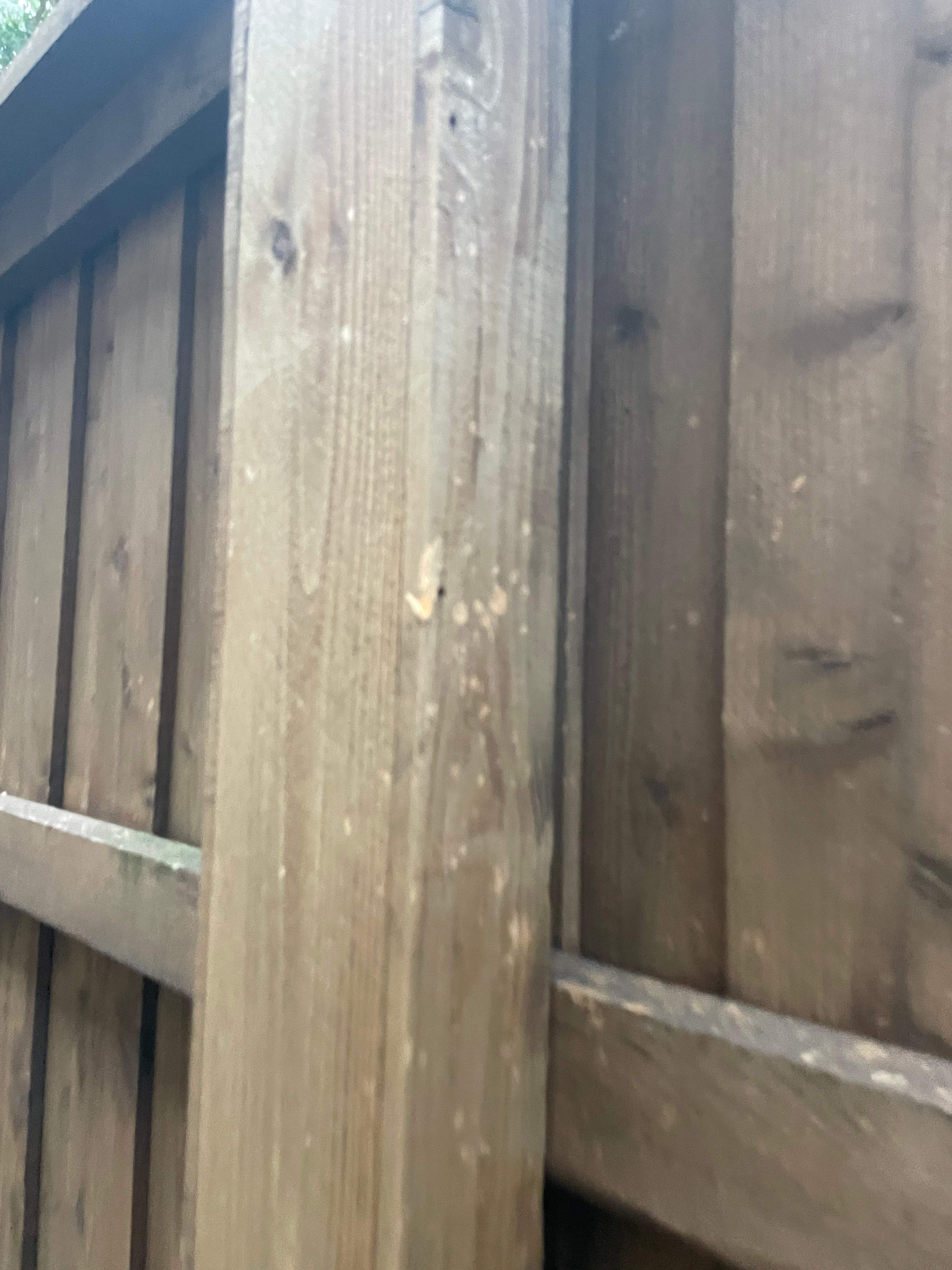 Project in Allen by Rhino Roofing and General Contracting, LLC