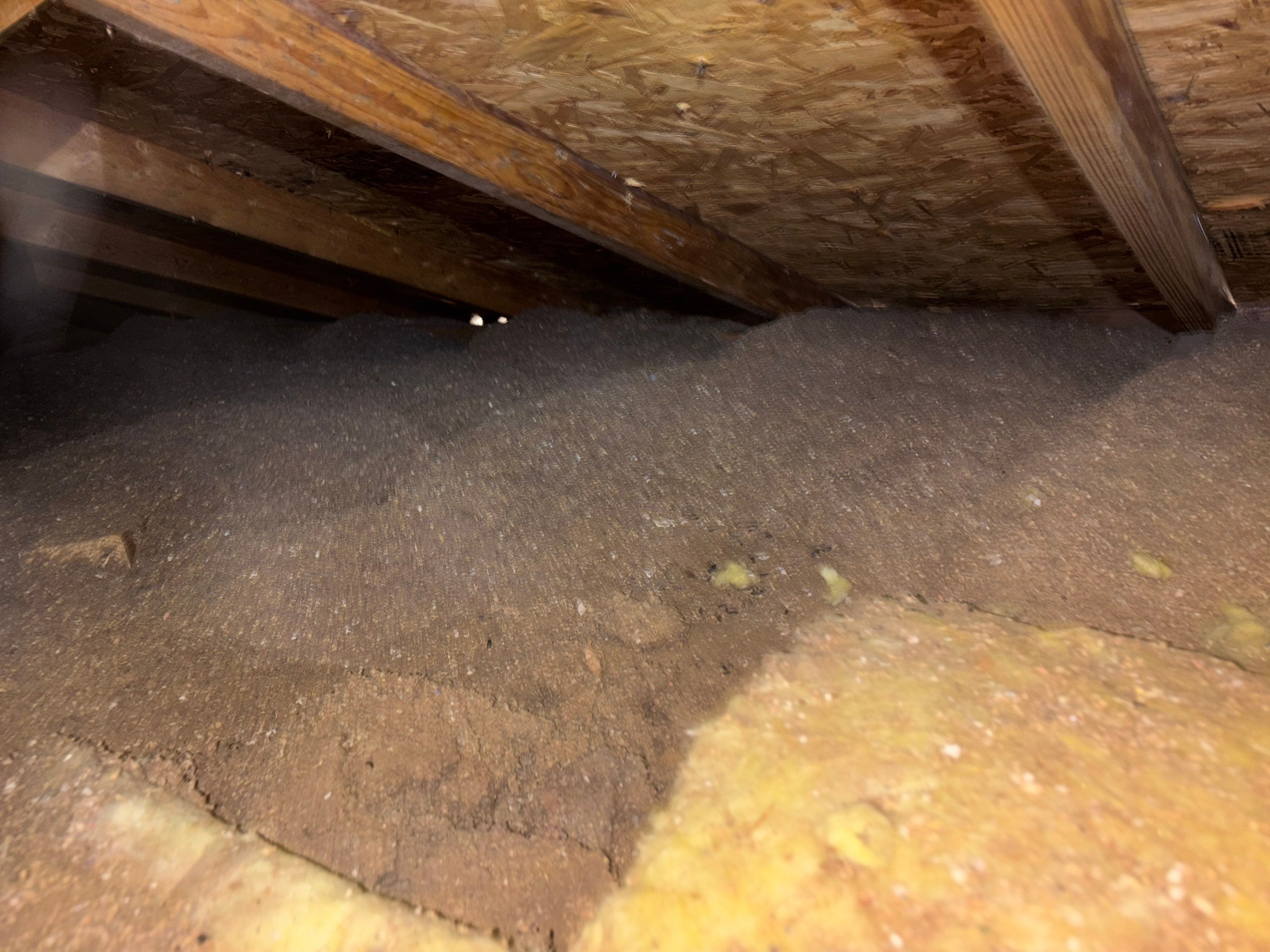 Project in Ontario by Insulation Labs