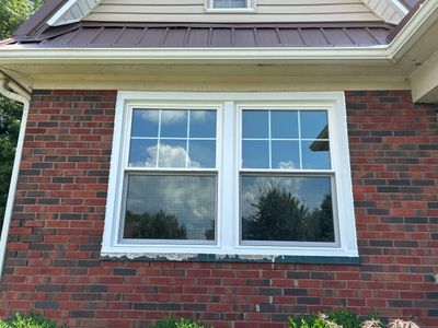 Project in Cambridge