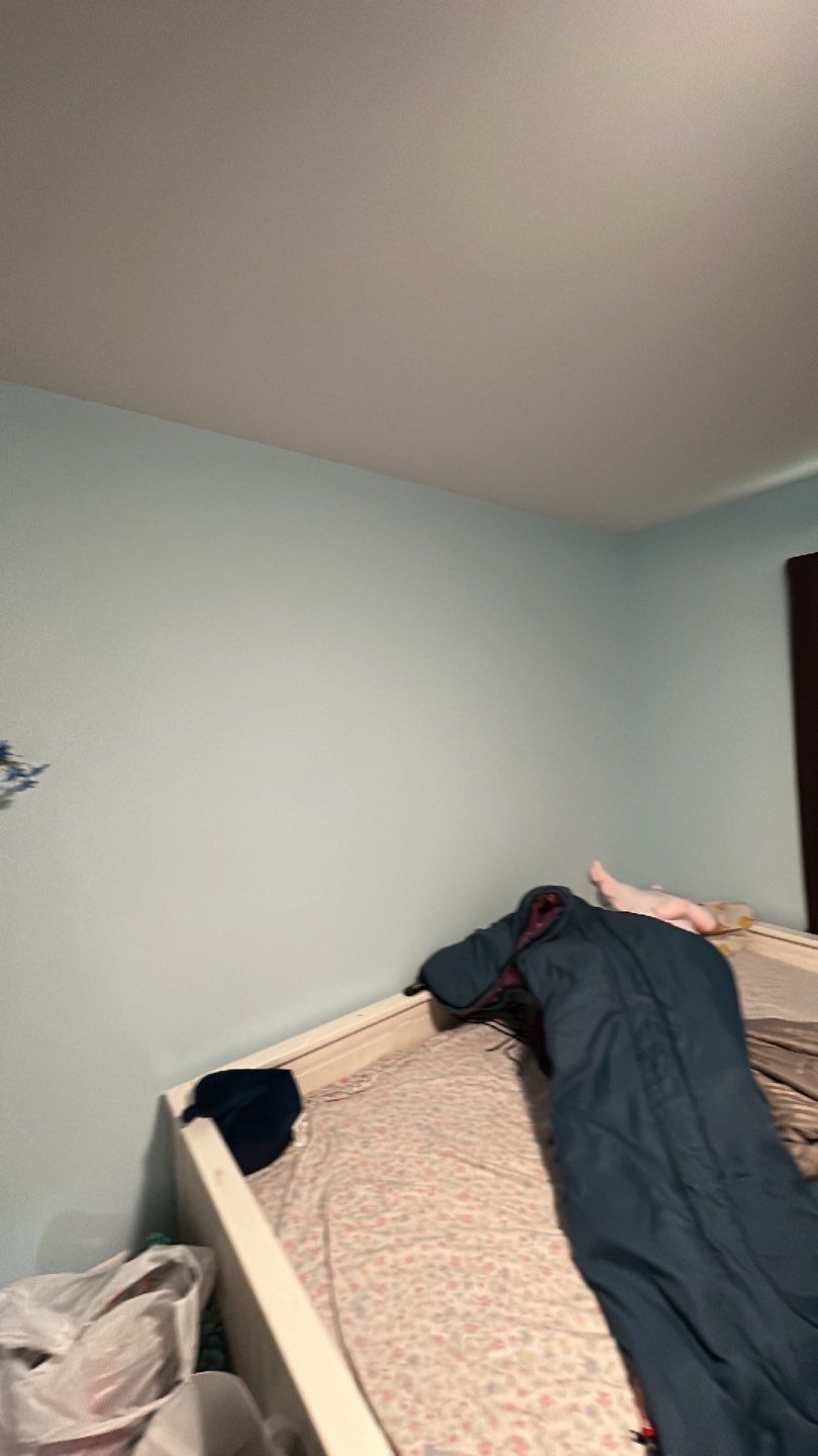 Burke: Multi-Trade Tree Damage Restoration by RM Banning, Inc.