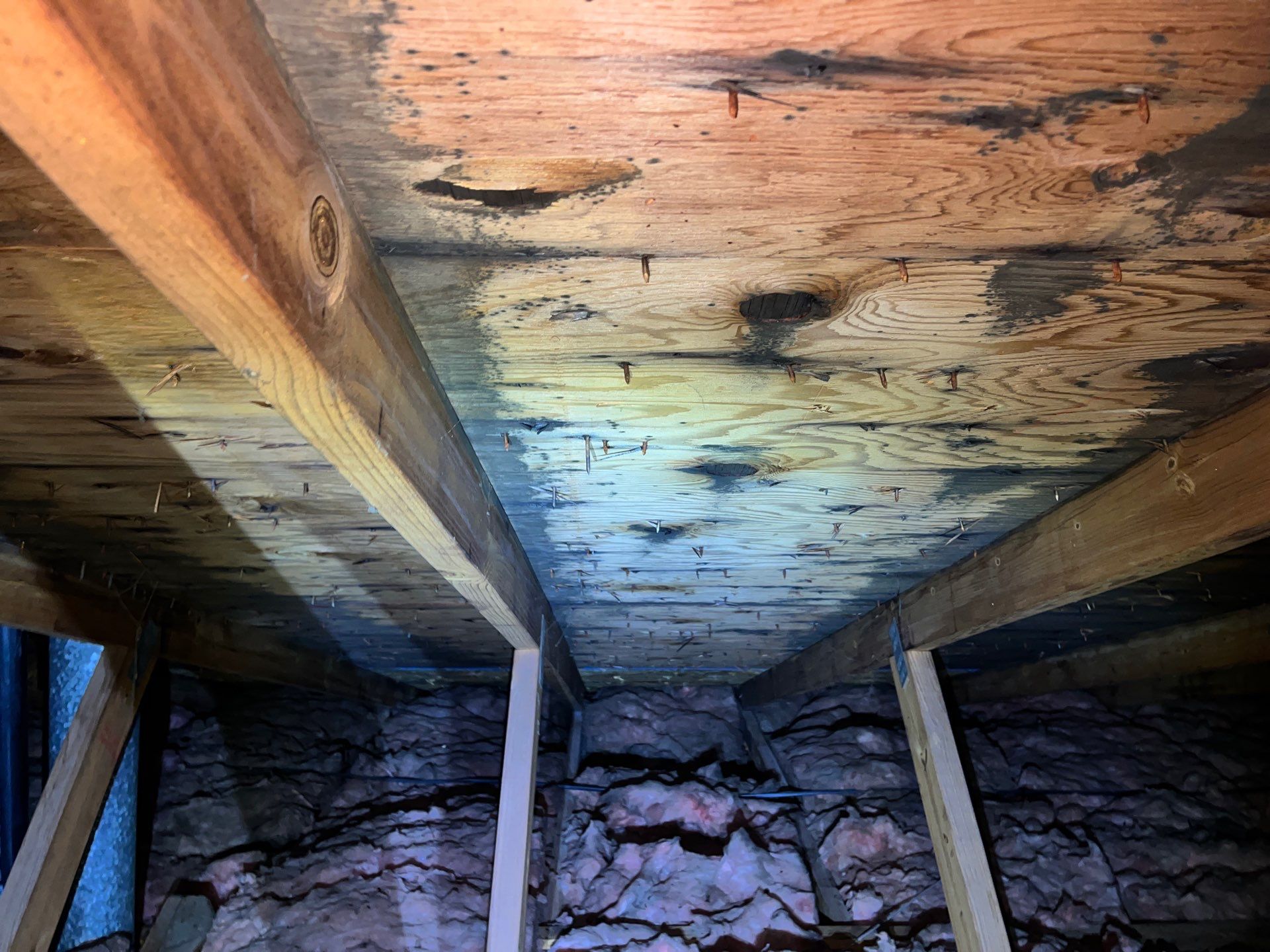 Addressing Attic Mold and Upgrading Insulation in Cranberry Township, PA 16066 by Home Environment Solutions