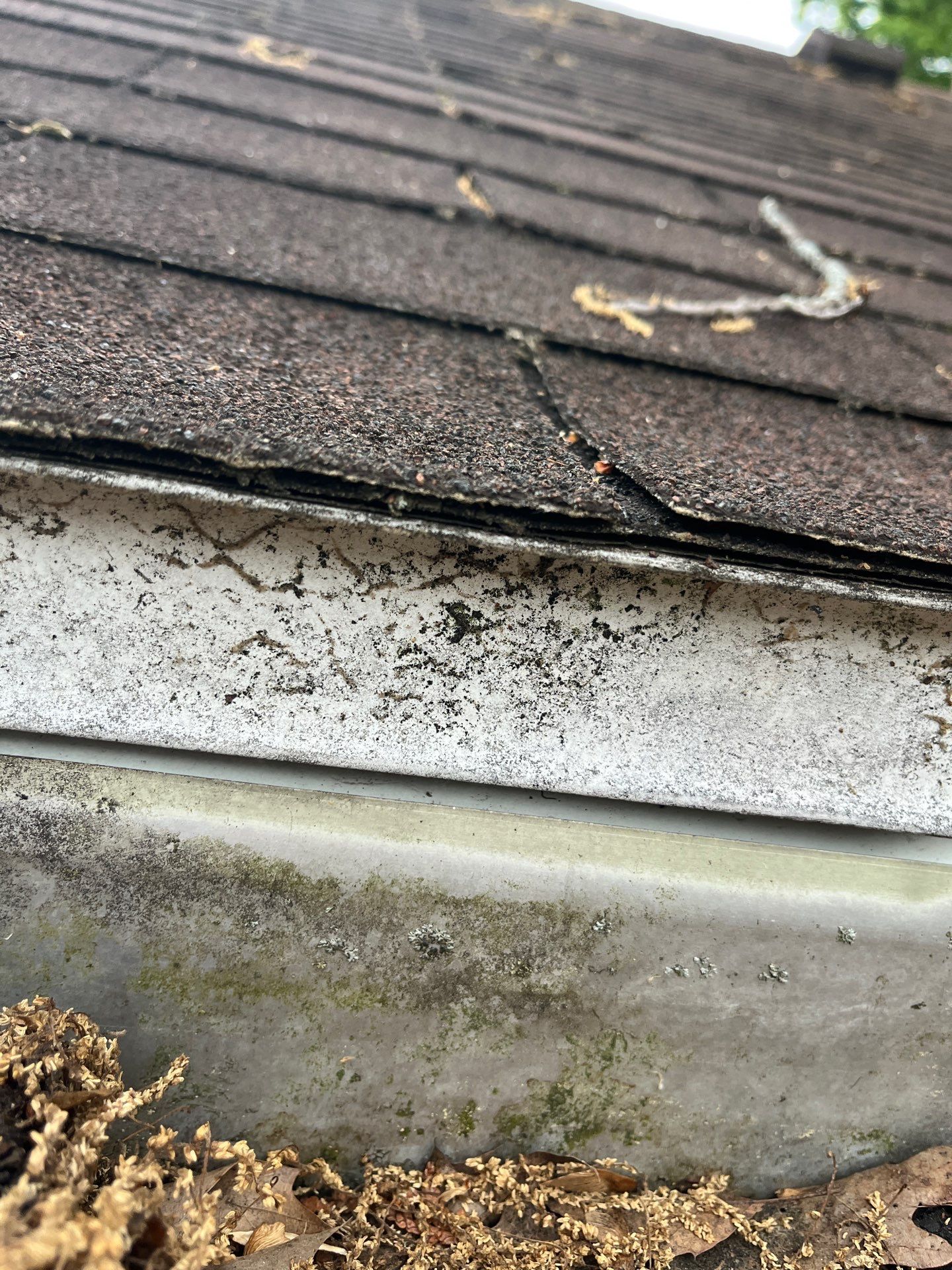 Roof Replacement using Owens Corning Onyx Black by 180 Contractors