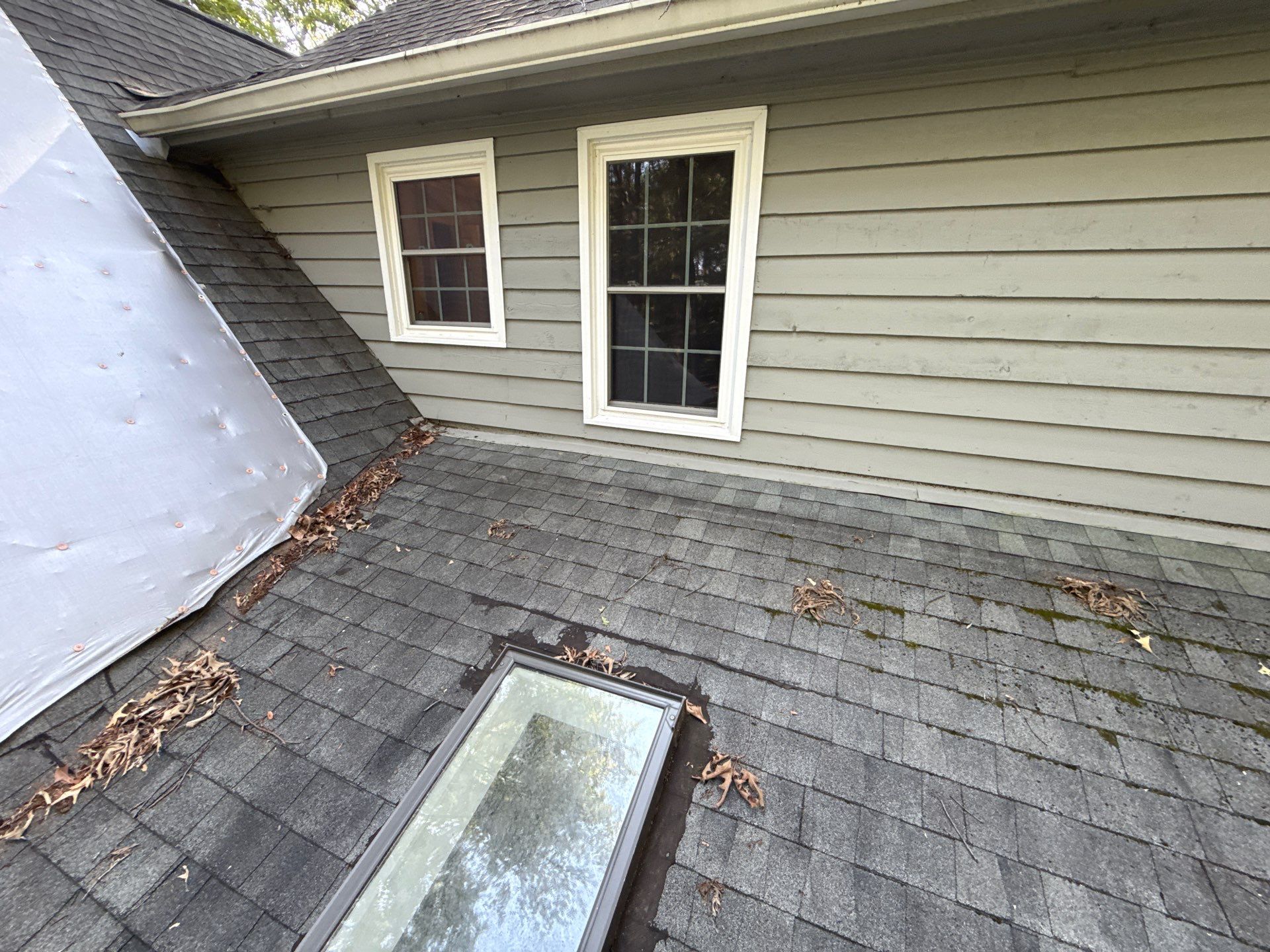 Collierville Roof Replacement Following Major Tree Impact Damage with interior repairs by Revival Roofing Services