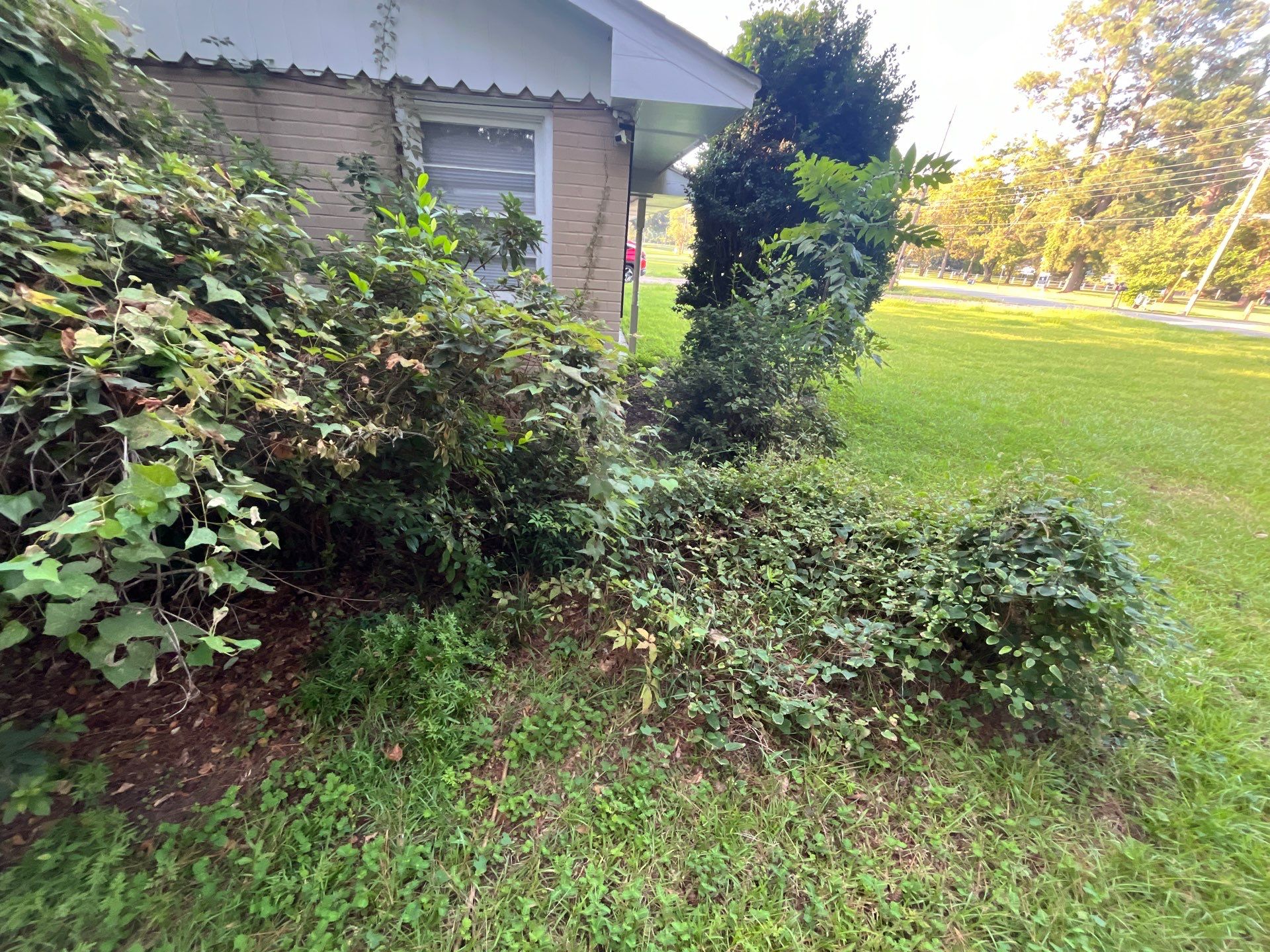 Yard Makeover by College Bros Outdoor services