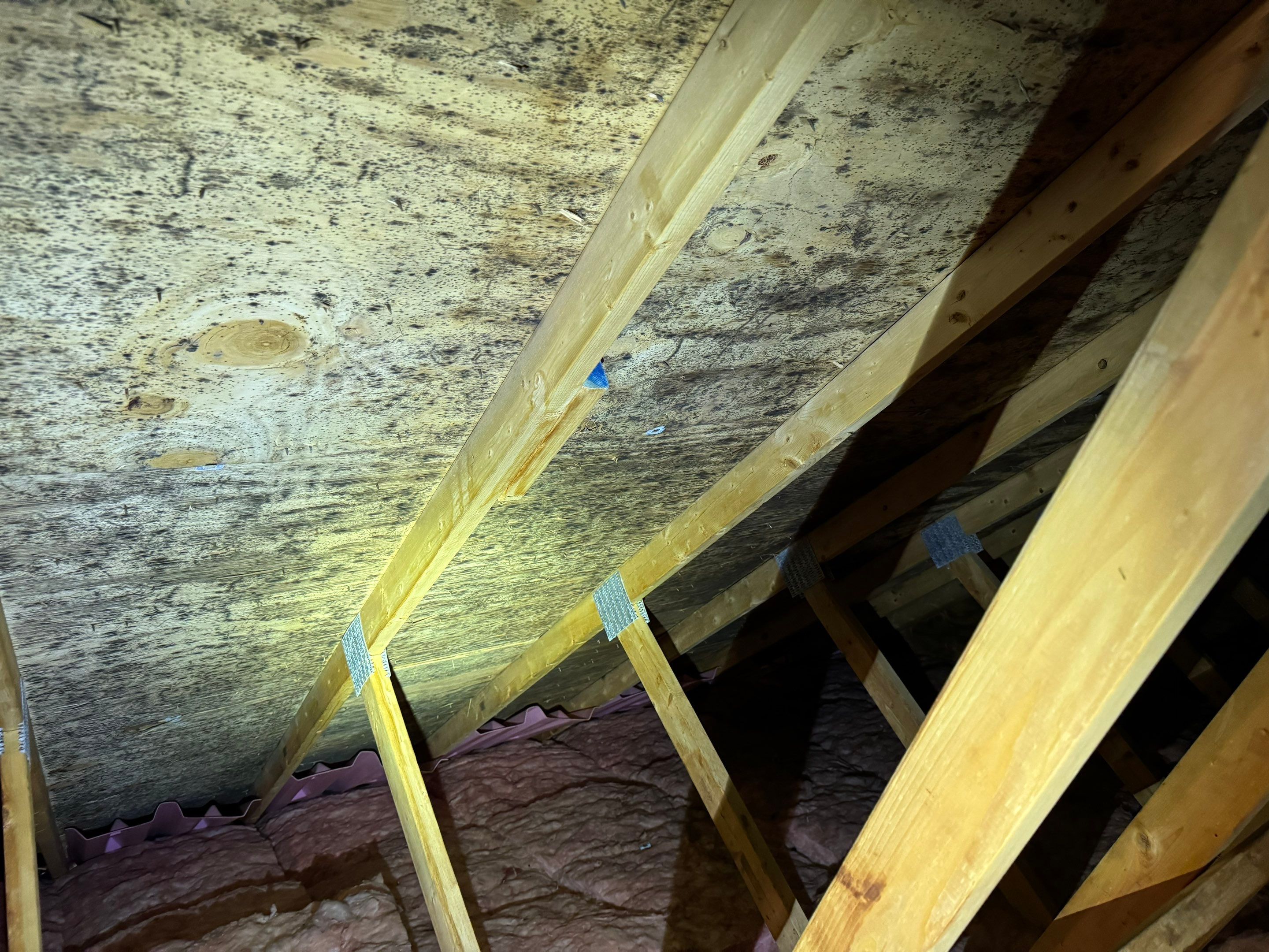 Attic Mold Remediation by Home Guarantee, LLC