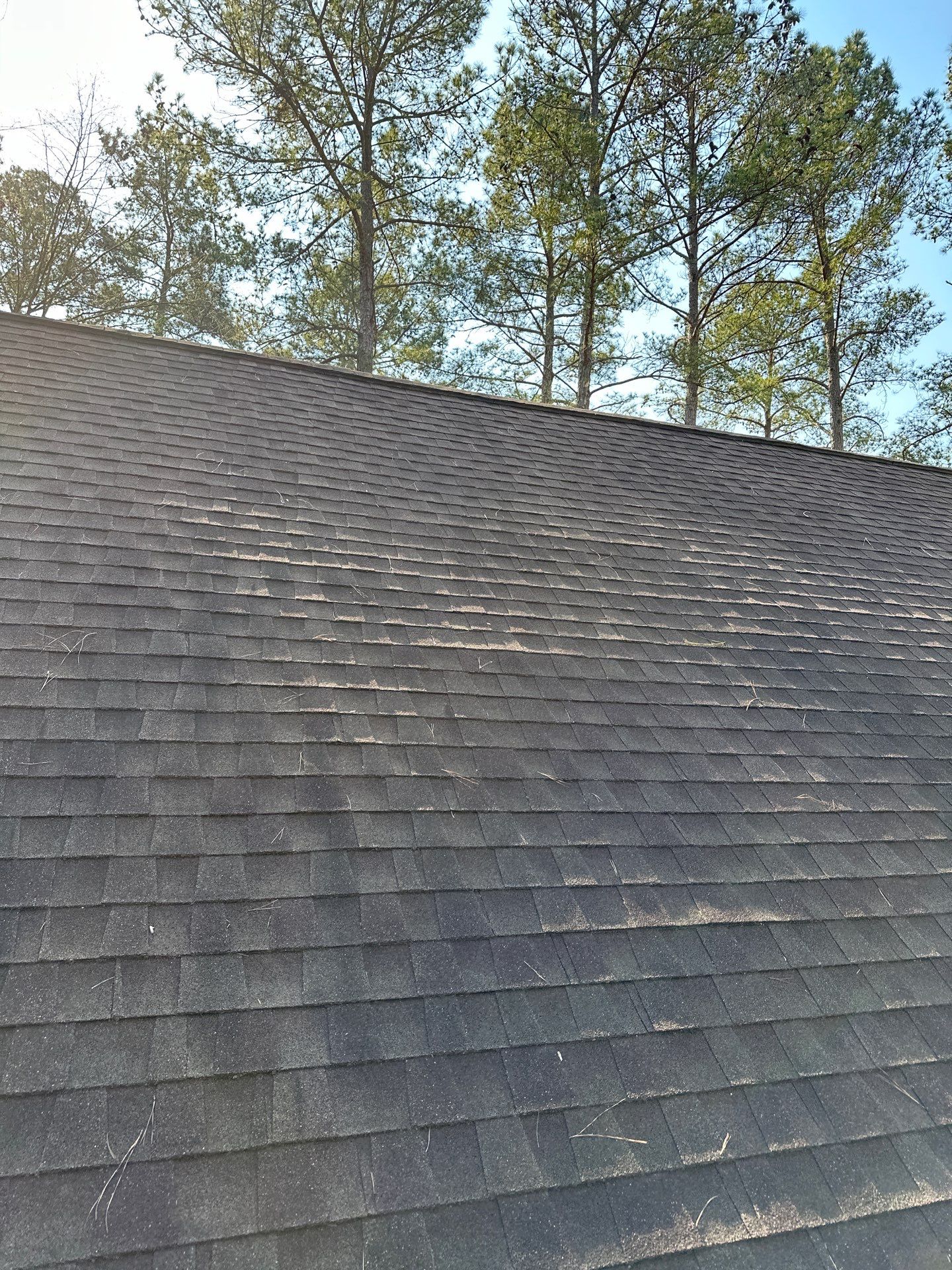 The Cribbs by United Contracting and Roofing