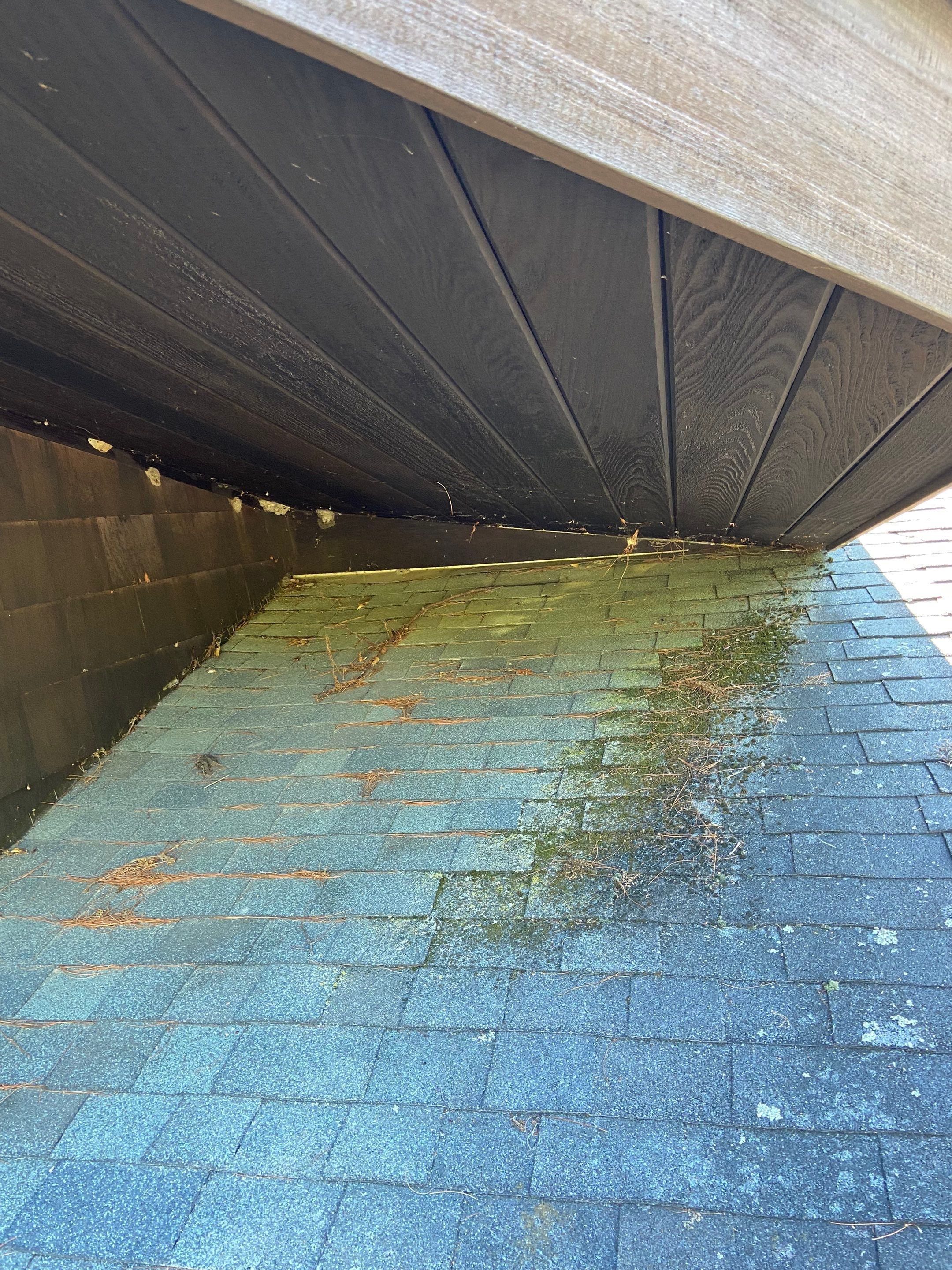 Ready for a Beautiful, Long-Lasting Roof? We’ve Got You Covered! by Sensible Home Solutions