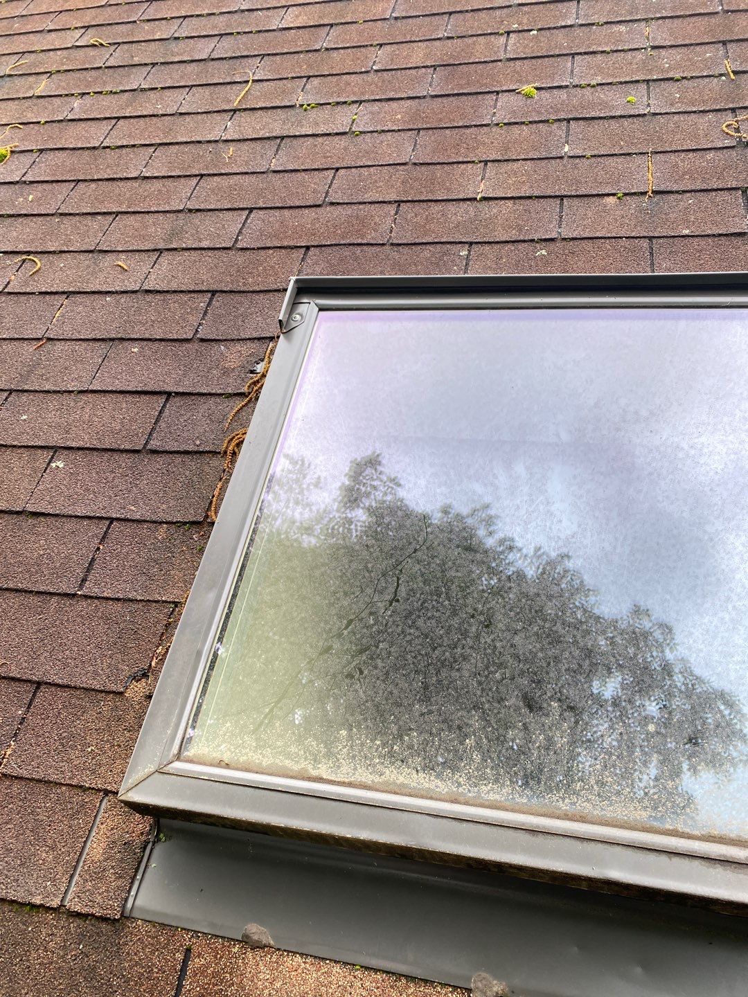 Arlington: CertainTeed Landmark Pro Designer Shingles in Max Def Shenandoah by RM Banning, Inc.