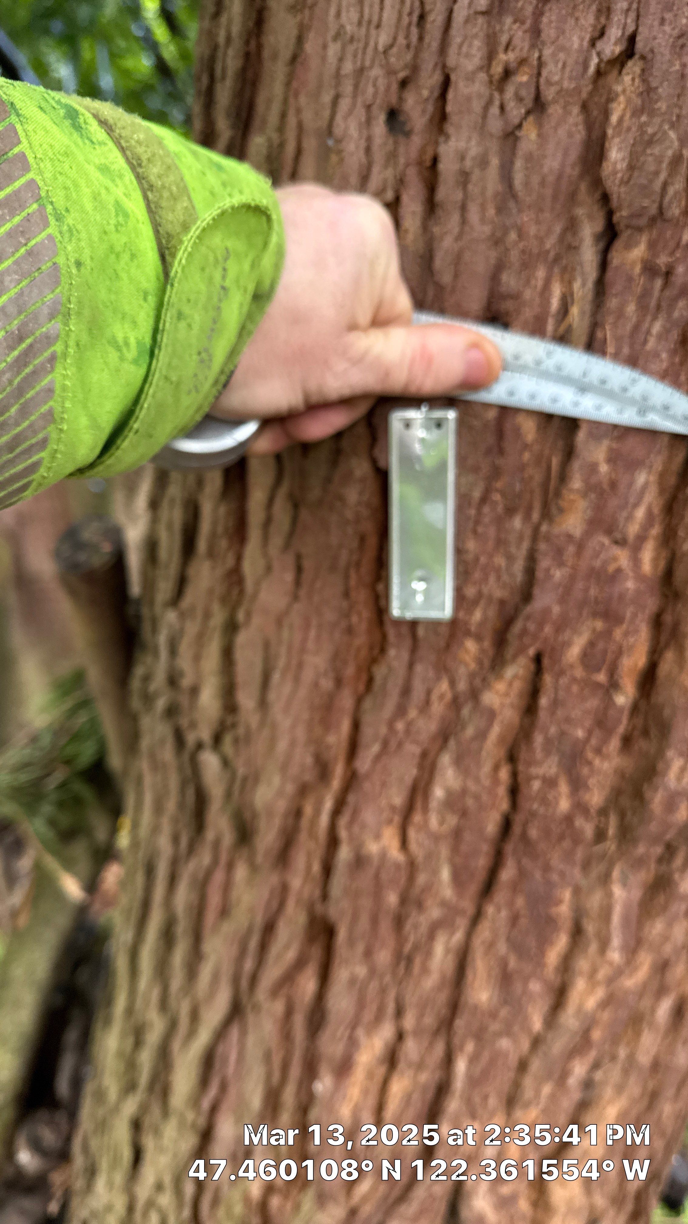 π Arborist Reporting & Tree Surveying β Code Compliance Project by Sound Tree Care LLC