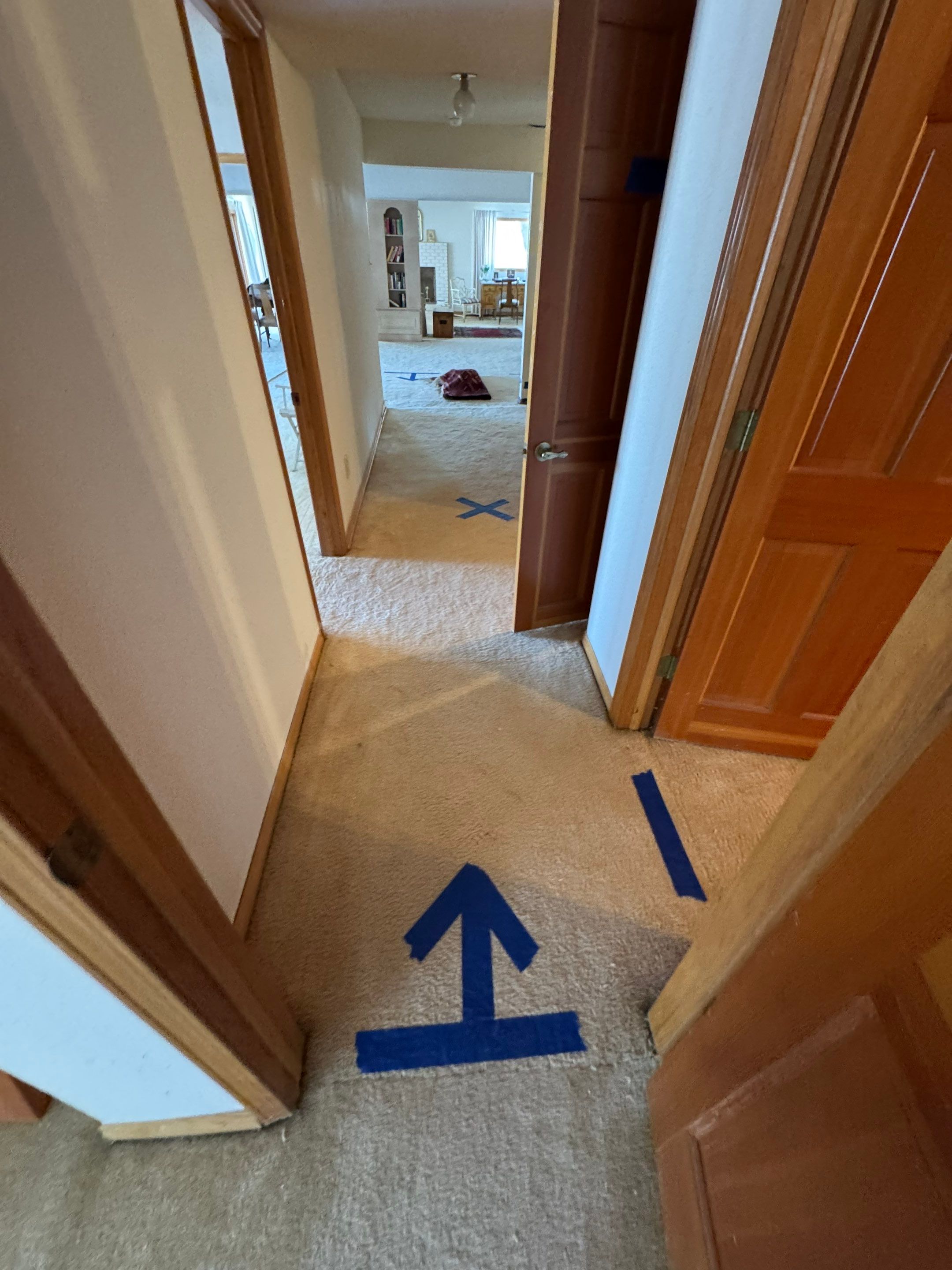 Water Damage in Wheat Ridge, CO by Alpha Restoration 