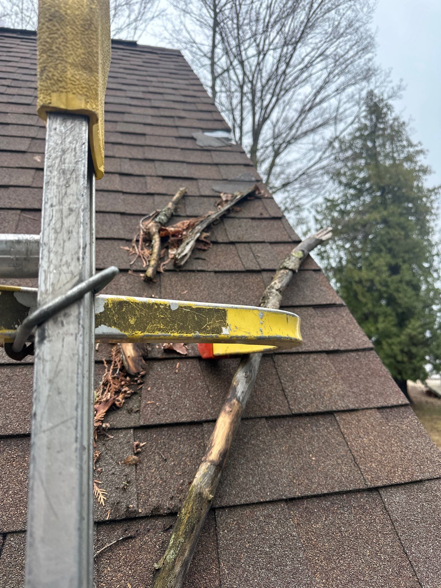 Gutter, Gutter Helmet and Copper Rain Chain Installation in Suttons Bay by Rainbow Seamless Systems