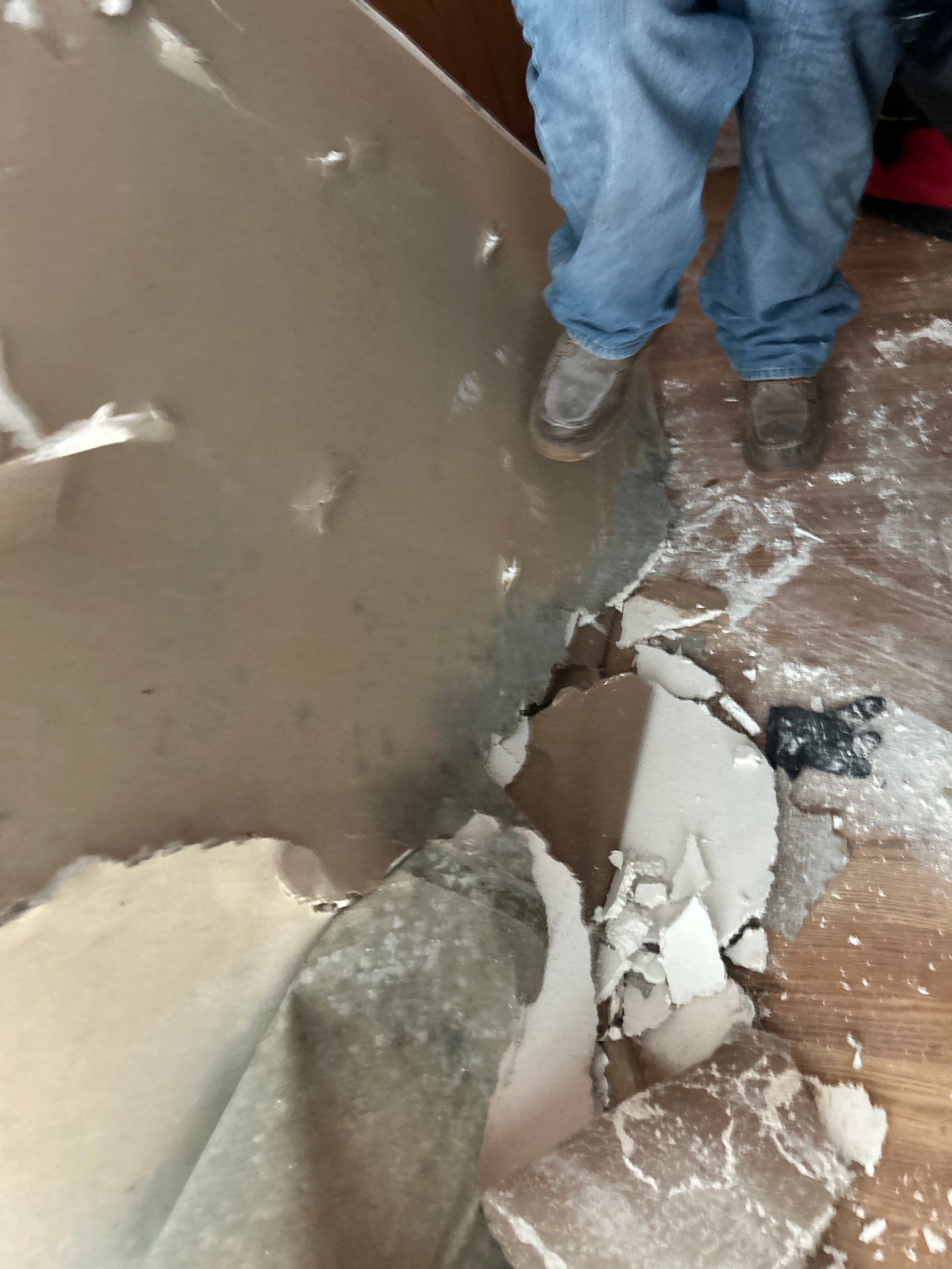 Black Mold Removal In Venice Florida by Ampm Restoration Services