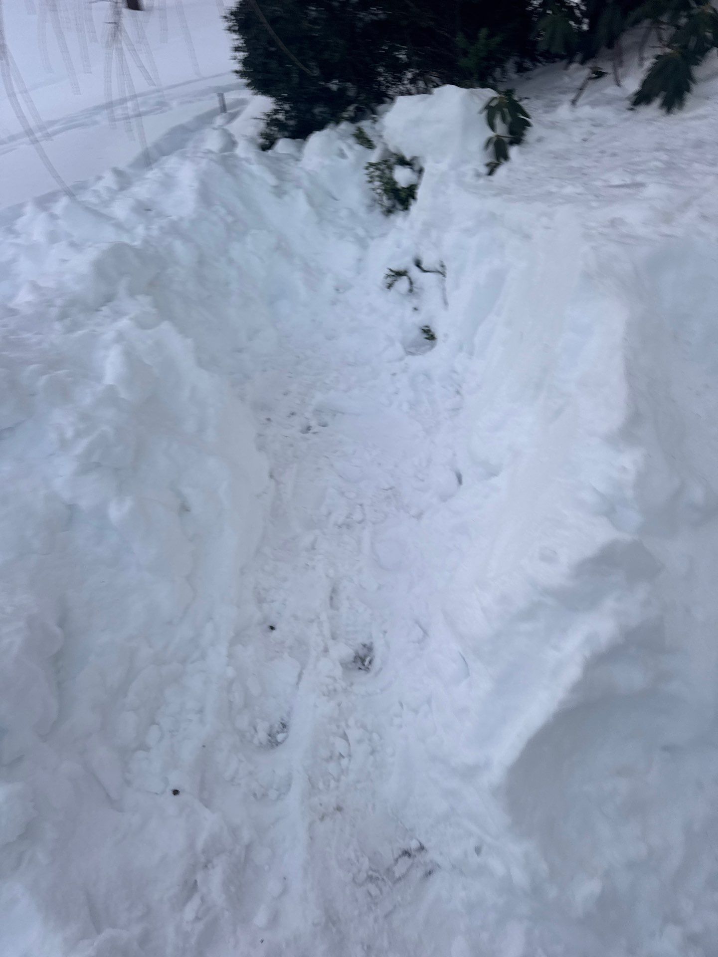 Ice Dam Removal Project in North Andover by Mighty Dog Roofing of Greater Middlesex County