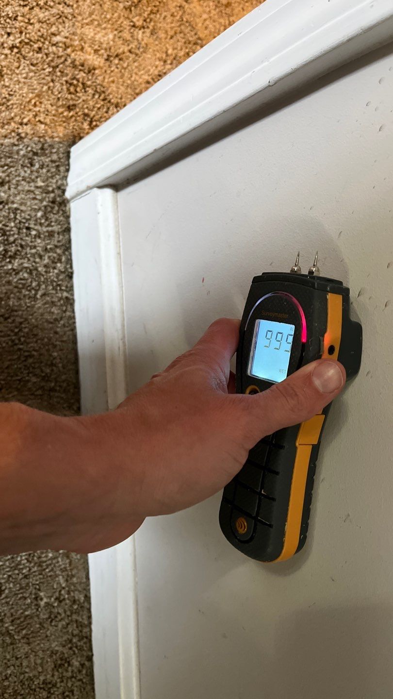 Repairs after Basement Water Damage by ANR Restoration