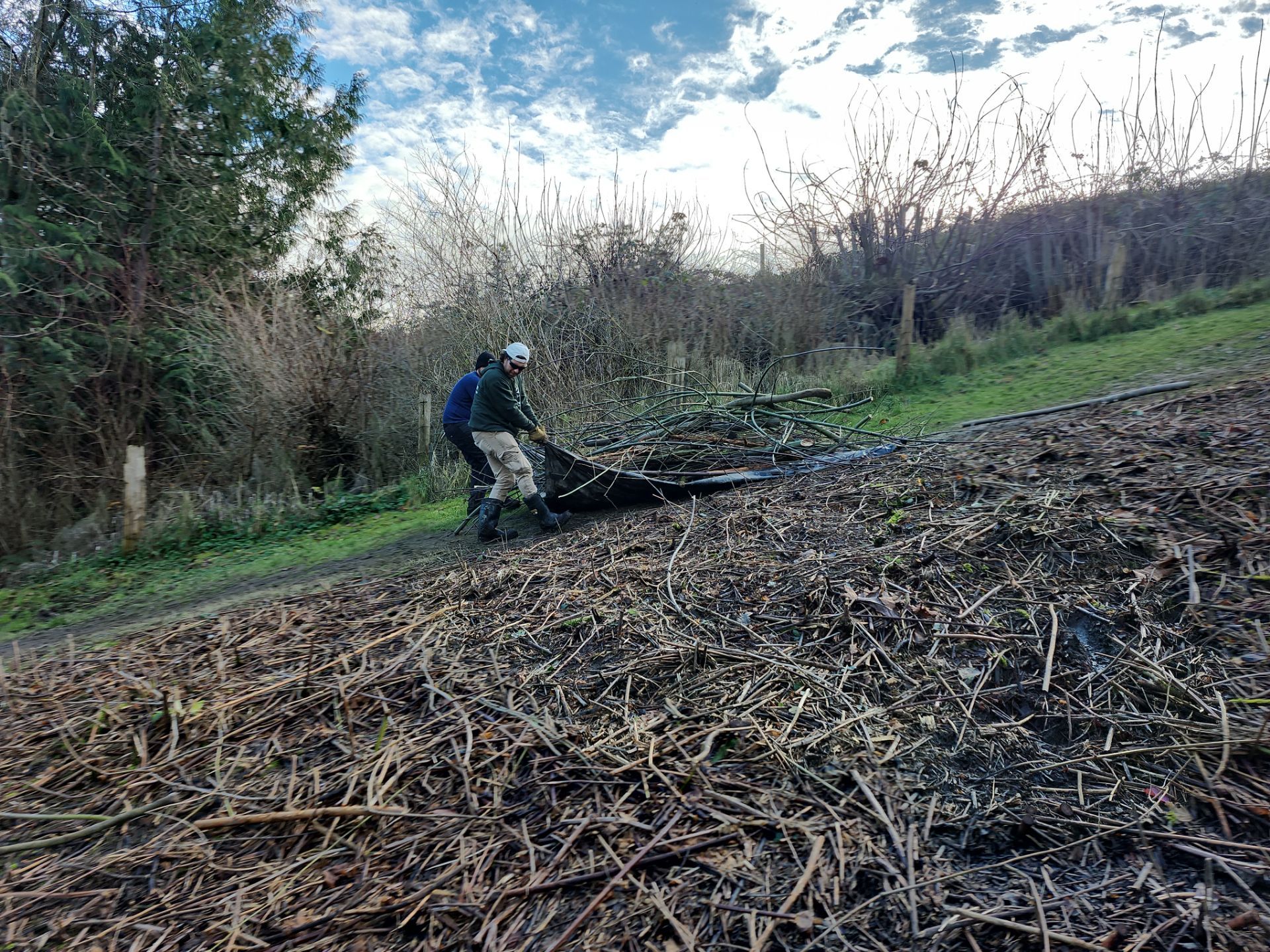 Island View - Ecological Restoration & Stewardship by Habanero Landscape Solutions