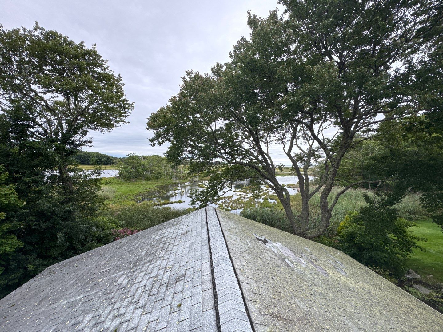 Full Roof Replacement & Carport Trim Repair   by Sensible Home Solutions