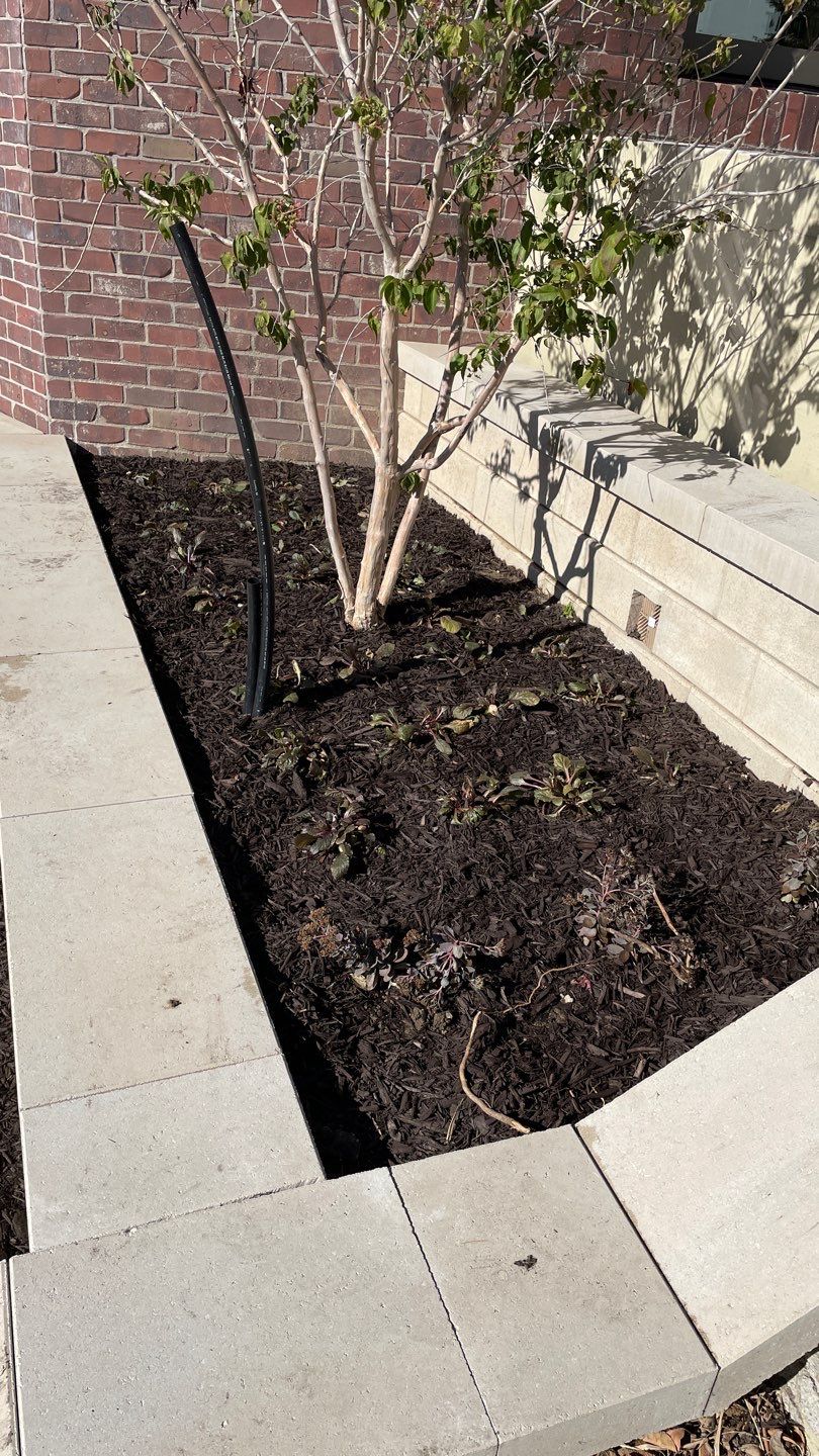 Landscape Bed Updates.  by New Horizon Landscapes