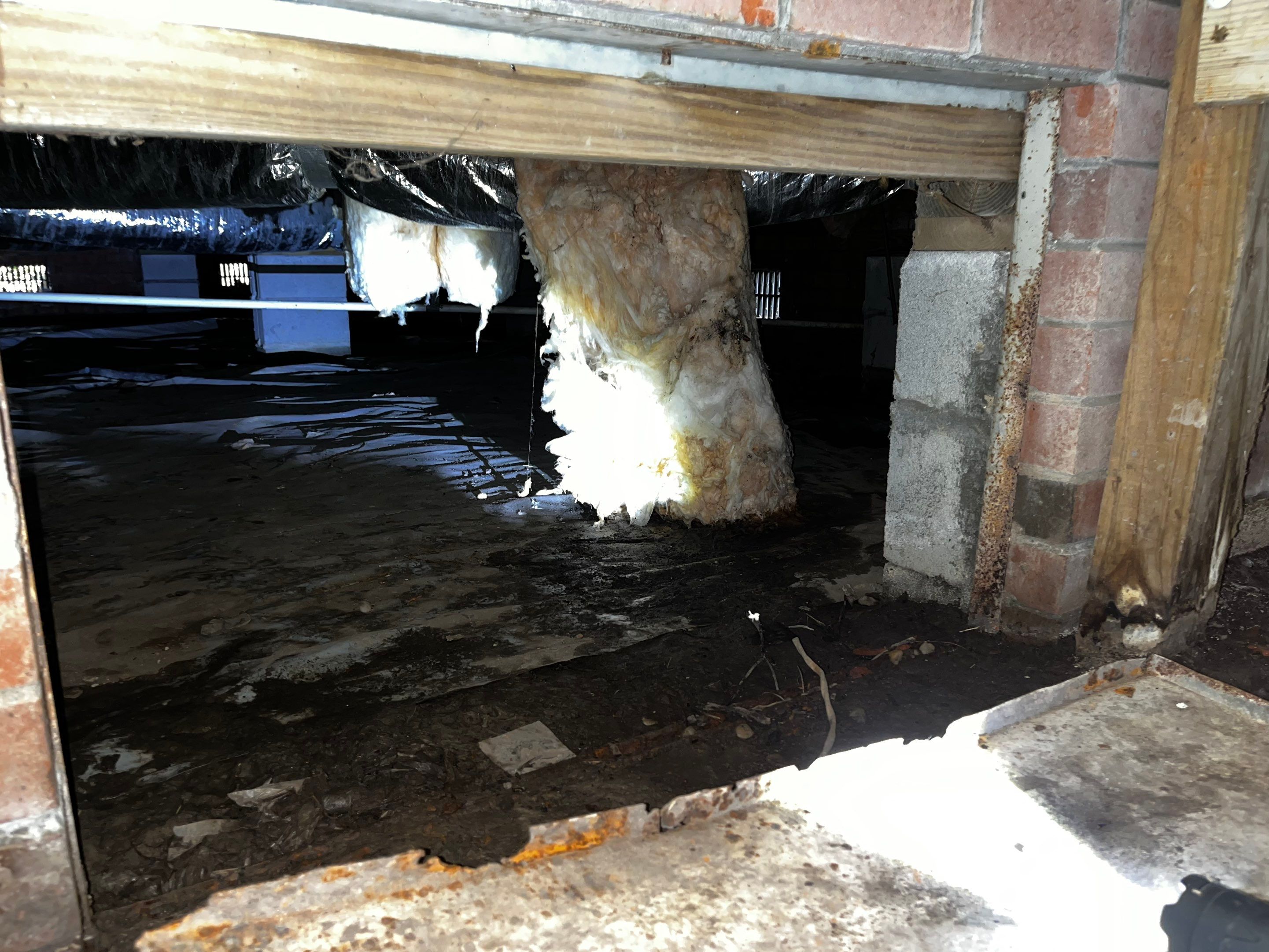 Impact Choice Encapsulation with French Drain and Crawlspace Doors by Impact Crawlspace