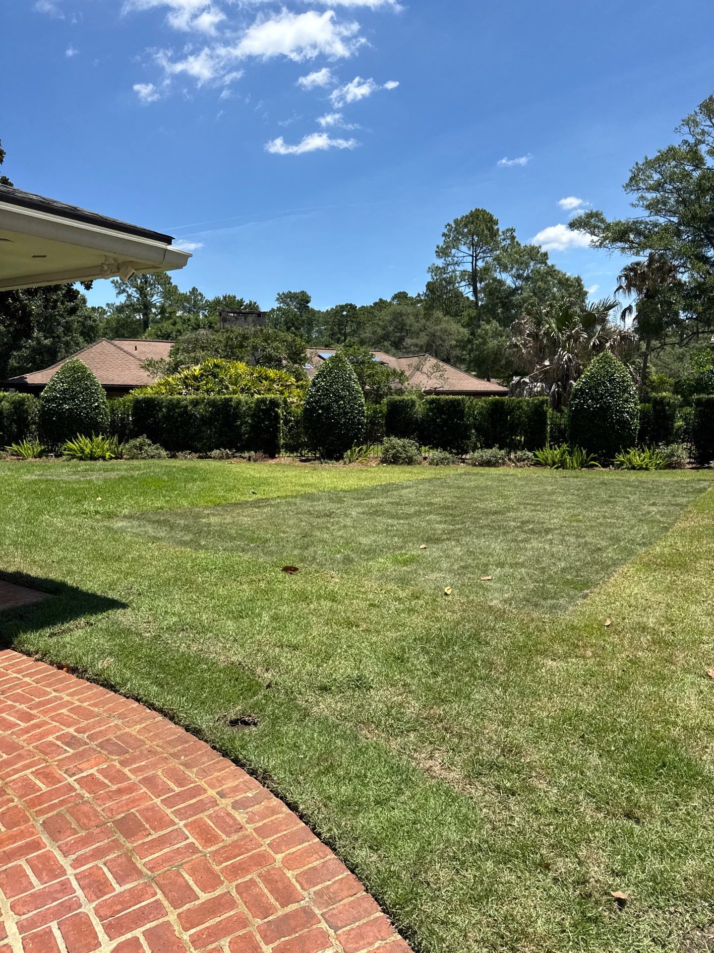 Deerwood Resident | Sod Installation by ProGreen Services