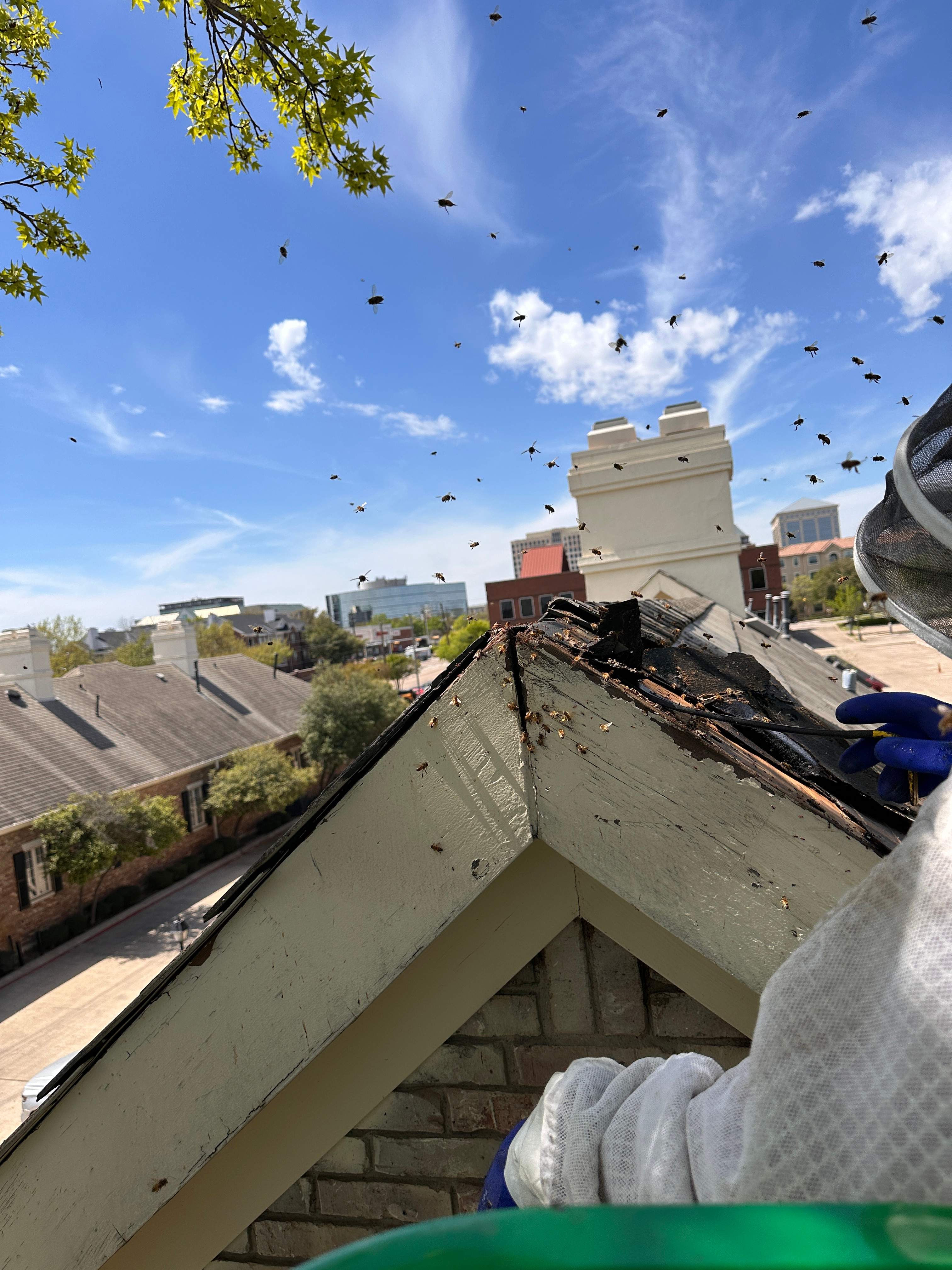 Commercial Roof by Rockwall Honey Bee Company