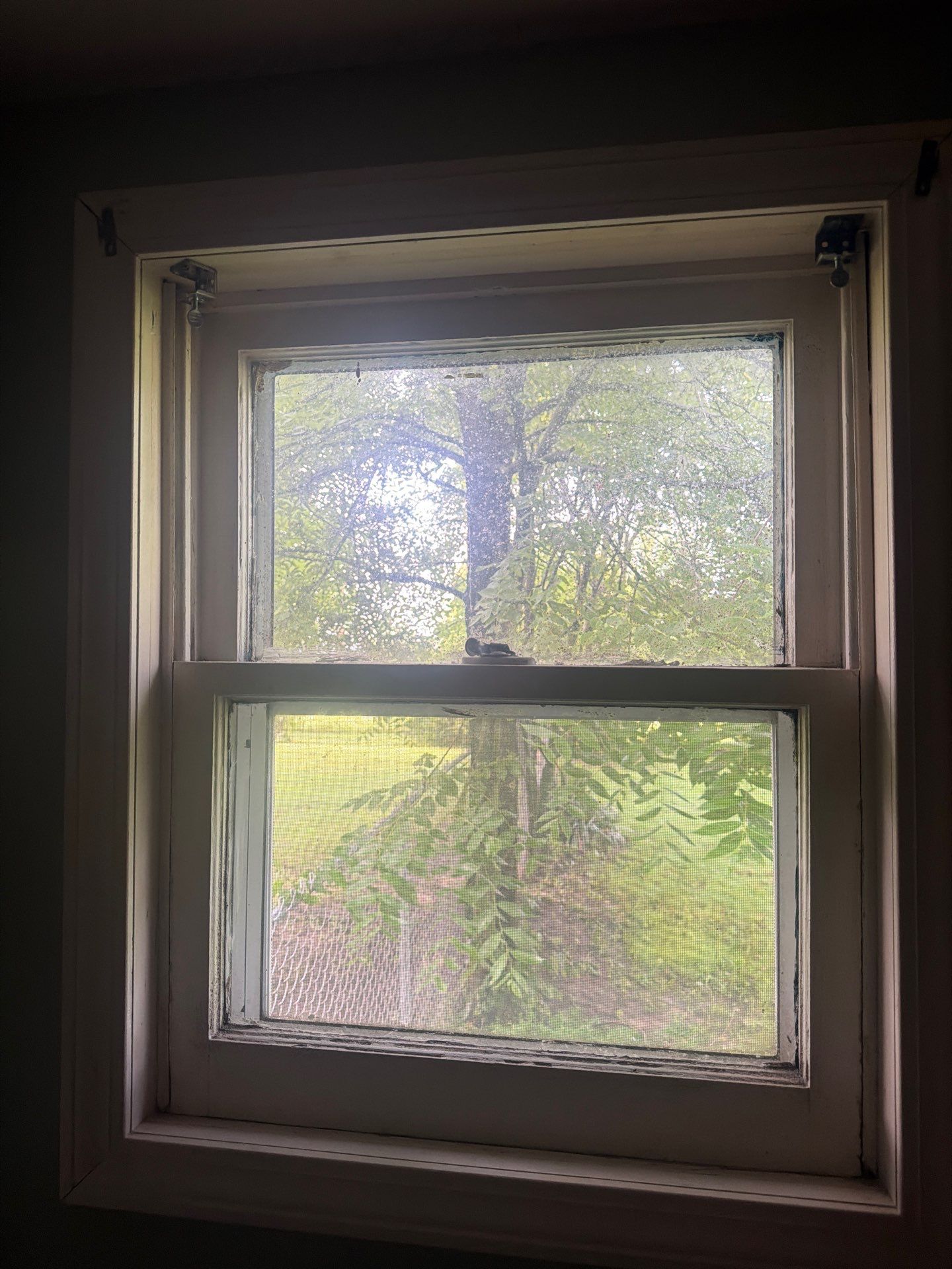 6 Replacement Windows Fort Wayne - 46809 by Window World Of Fort Wayne