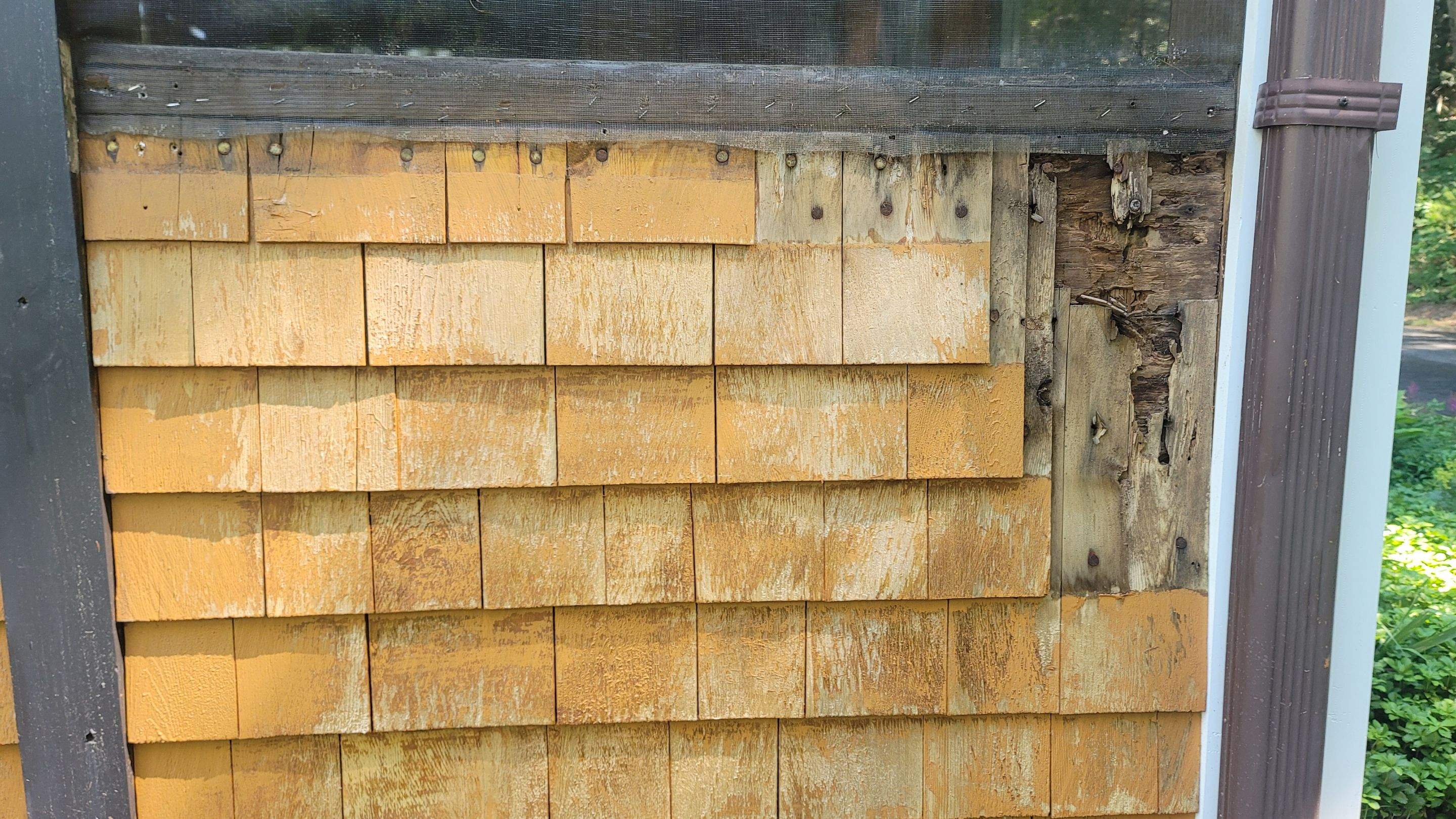 Newfields, NH Exterior by Vertical Painting