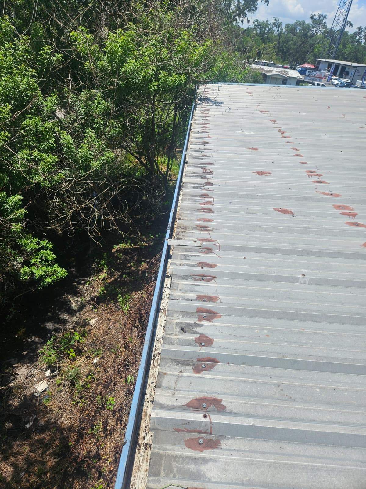 Clean Gutters and Seal Seams in Lakeland FL by Gutter Professors