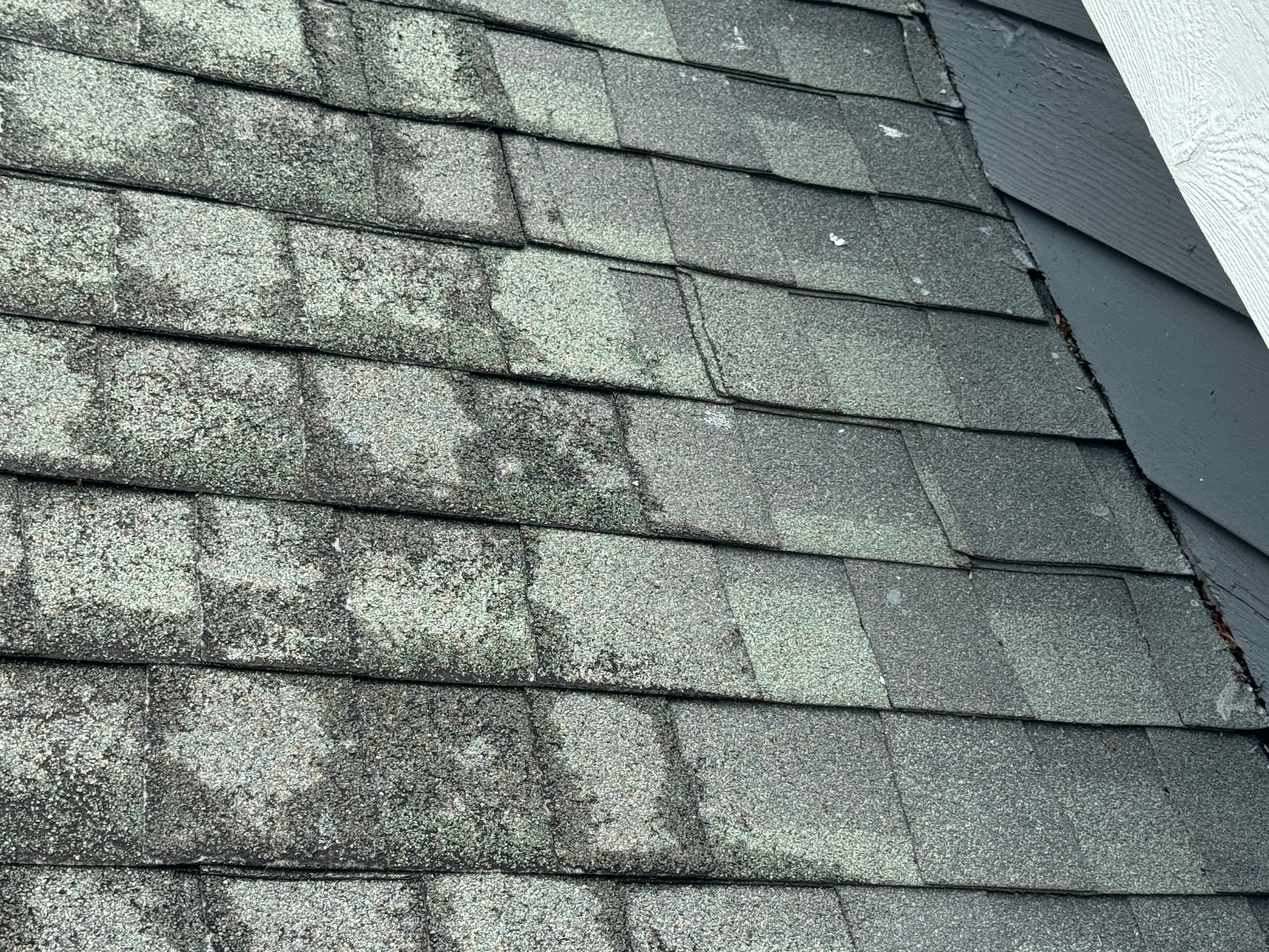 Mt. Pleasant Residential Home by Artigues Roofing & Restoration Services