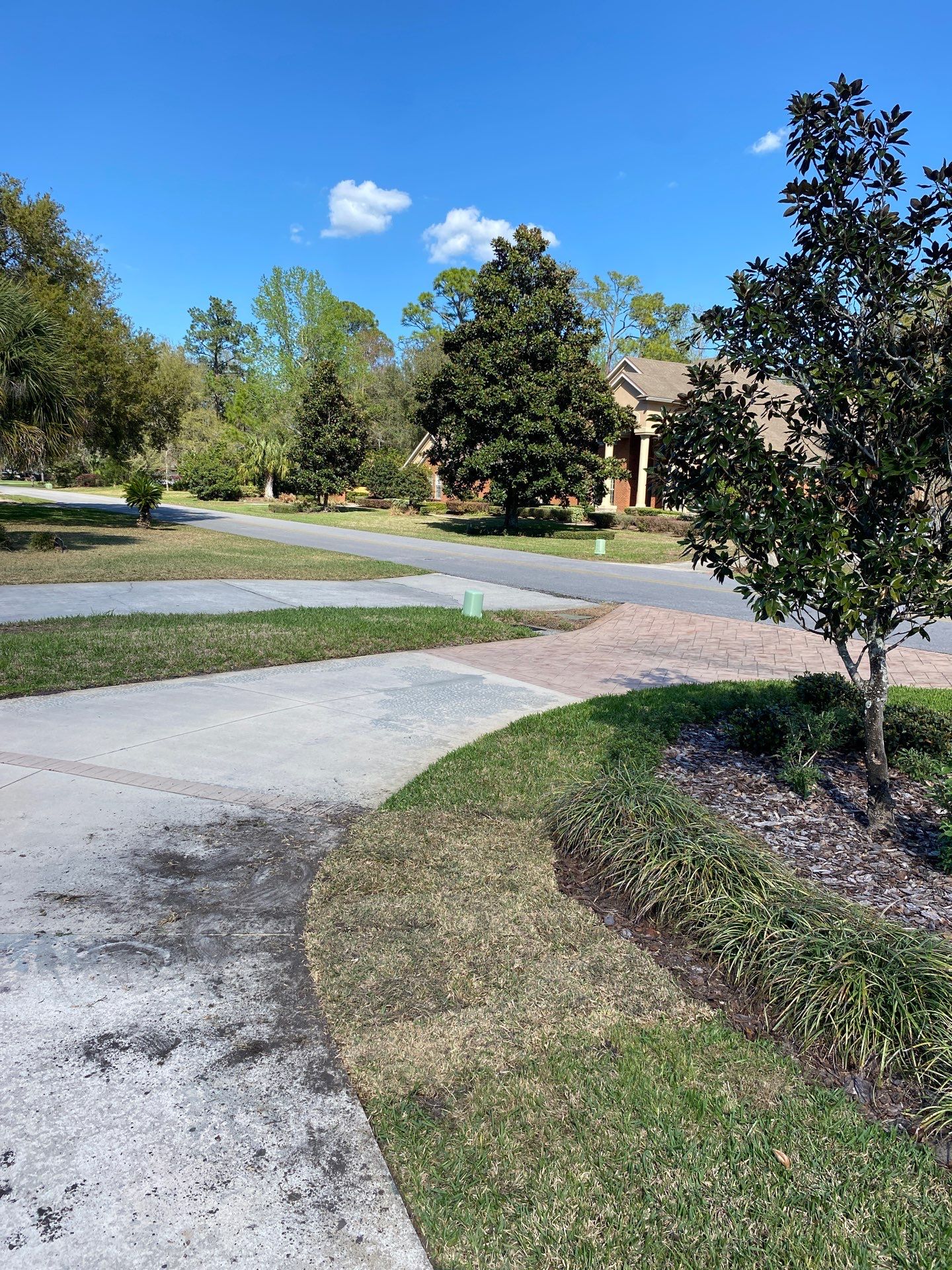 Deerwood Resident | Sod Install & Shrub Removal by ProGreen Services