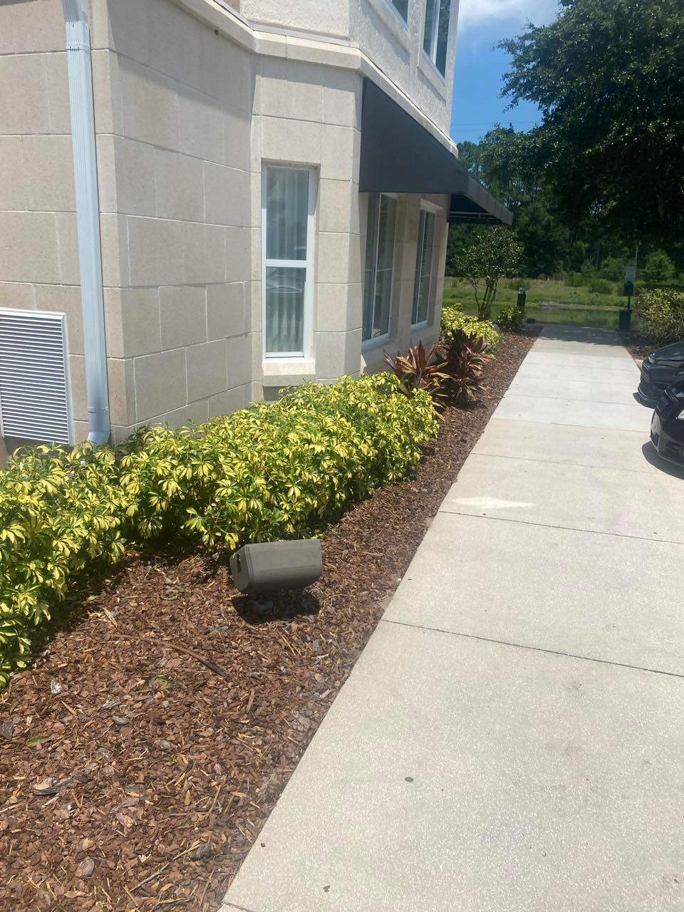 Homewood Suites | Tree Service by ProGreen Services