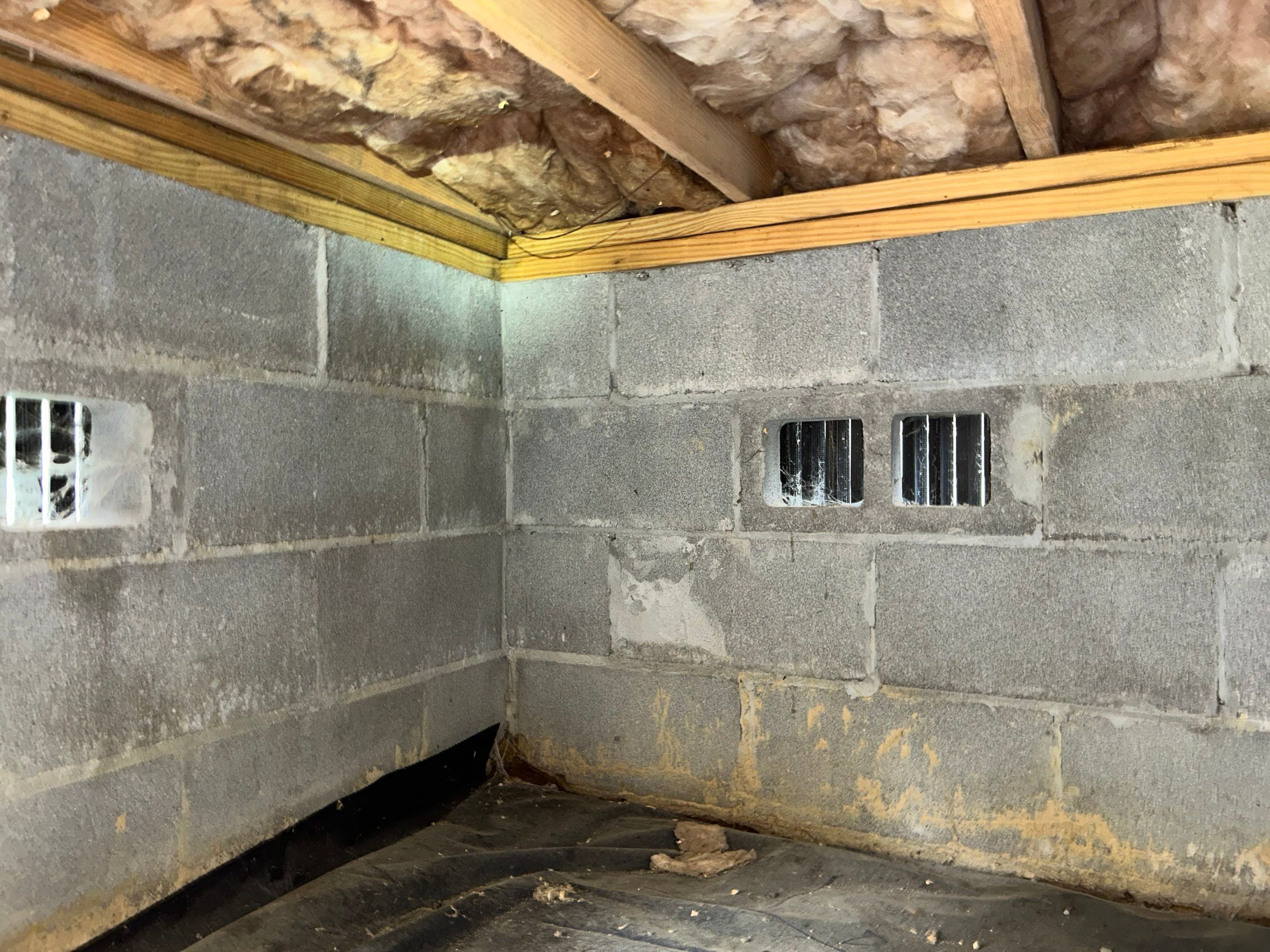 Premium Encapsulation with 20Mil, Borafoam insulation and Light System. by Impact Crawlspace
